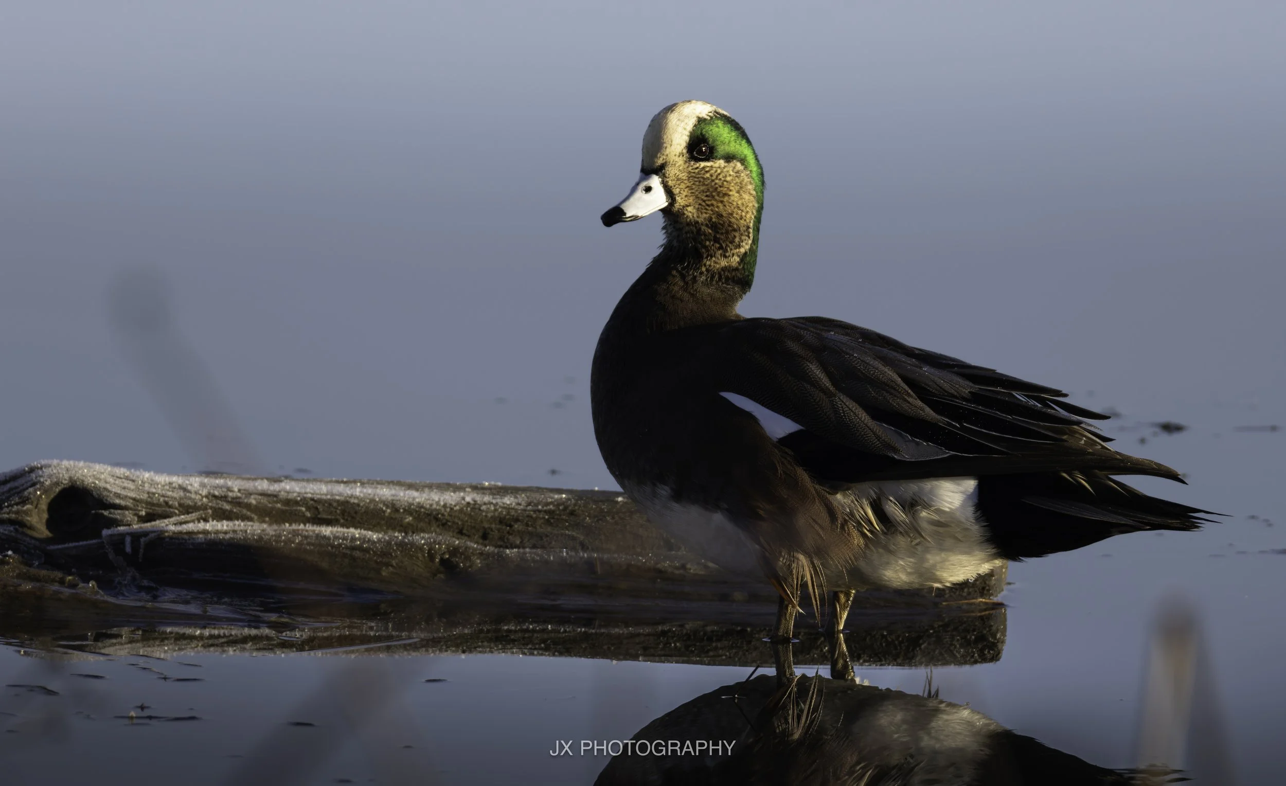 IMG_2217-DxO_DeepPRIME XD2s.jpg