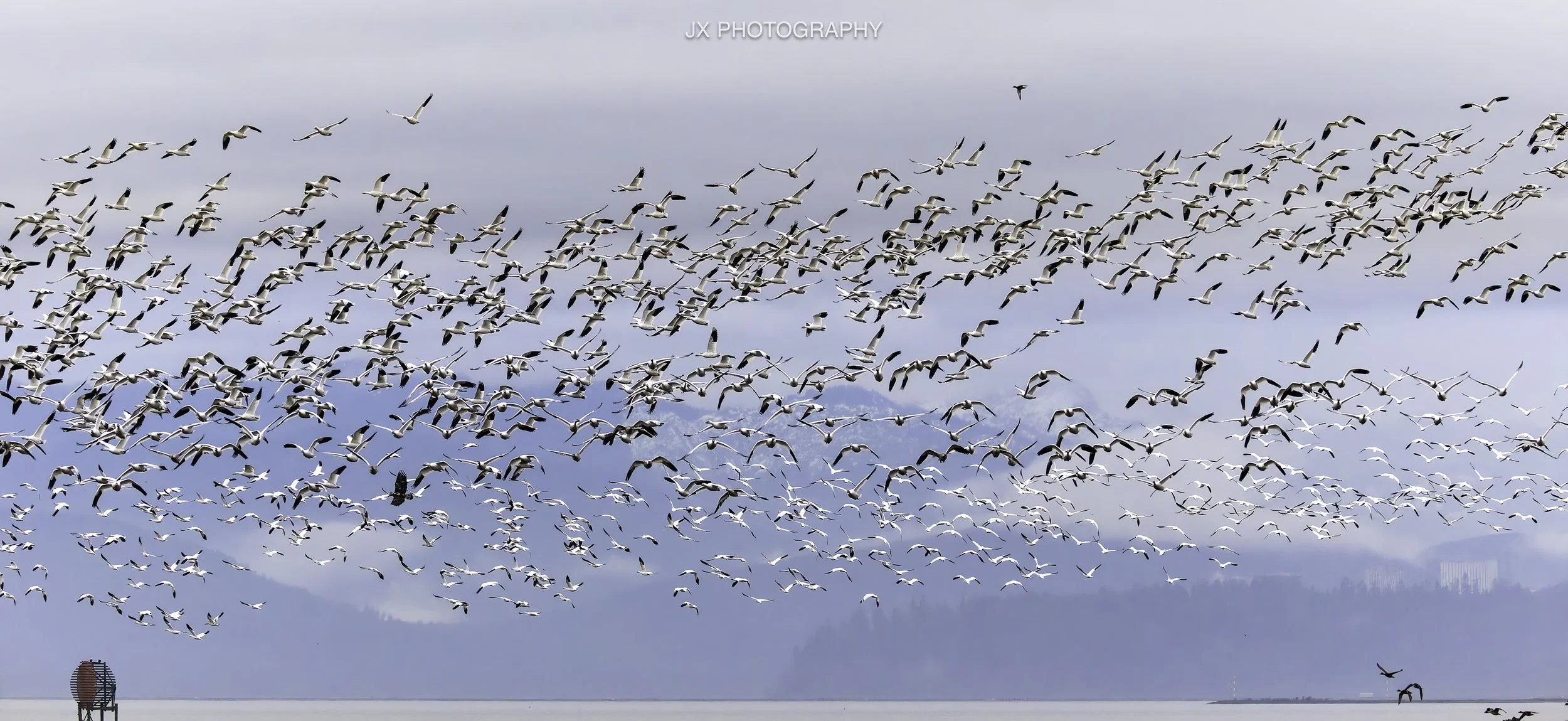 IMG_3618-DxO_DeepPRIME XD2s.jpg