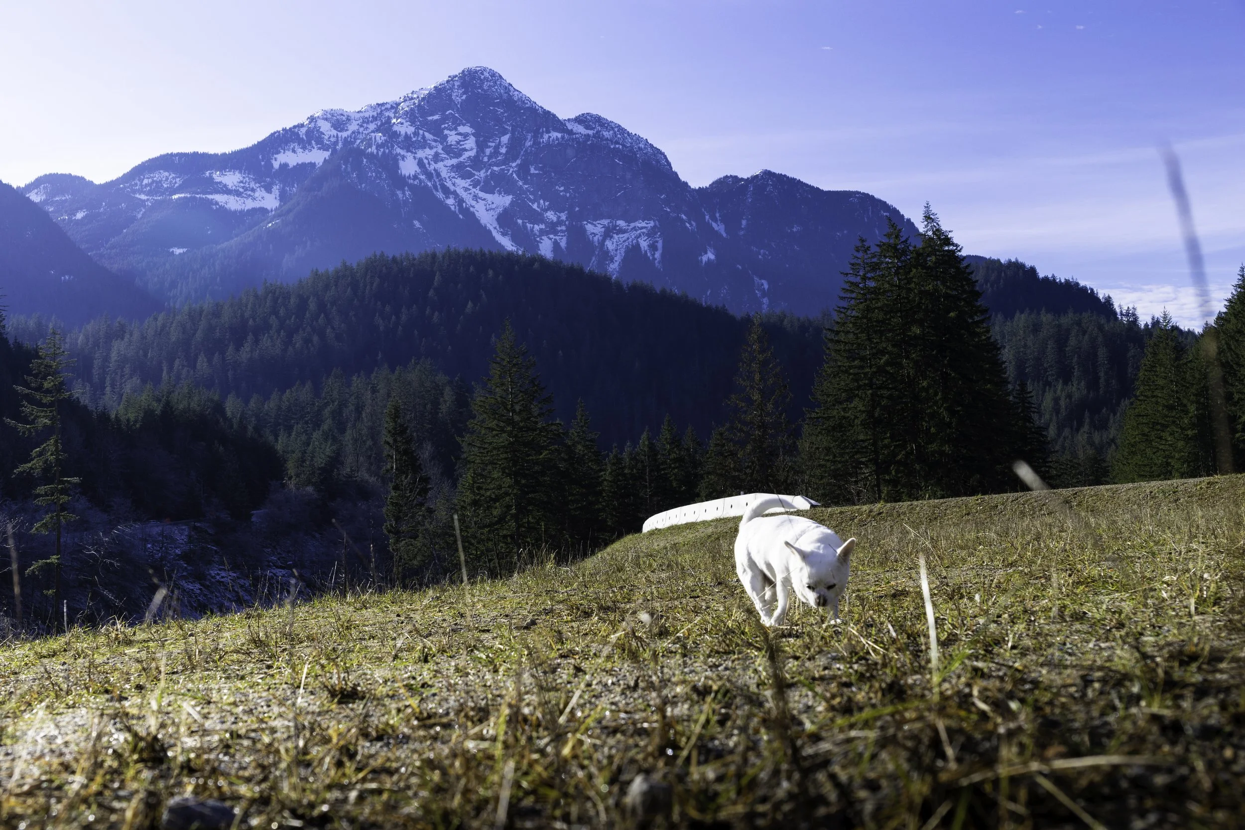 Fate conspires against you sometimes 