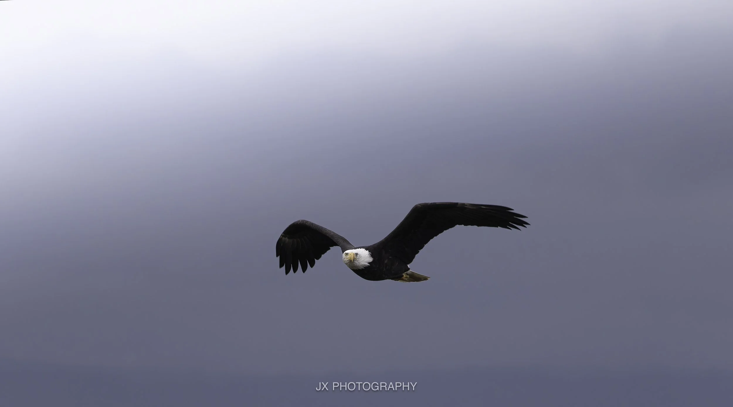 IMG_3422-DxO_DeepPRIME XD2s.jpg