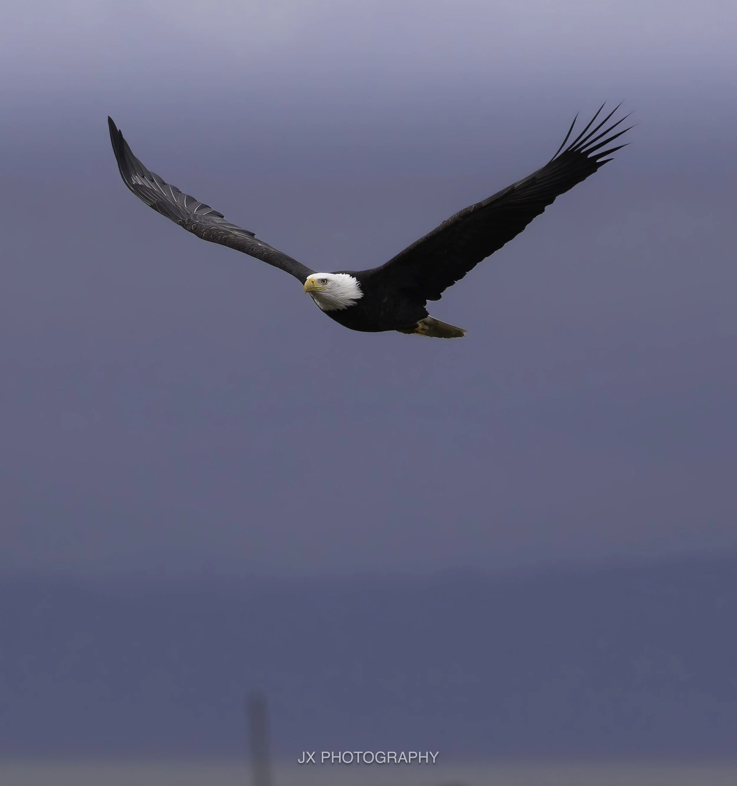 IMG_3424-DxO_DeepPRIME XD2s.jpg