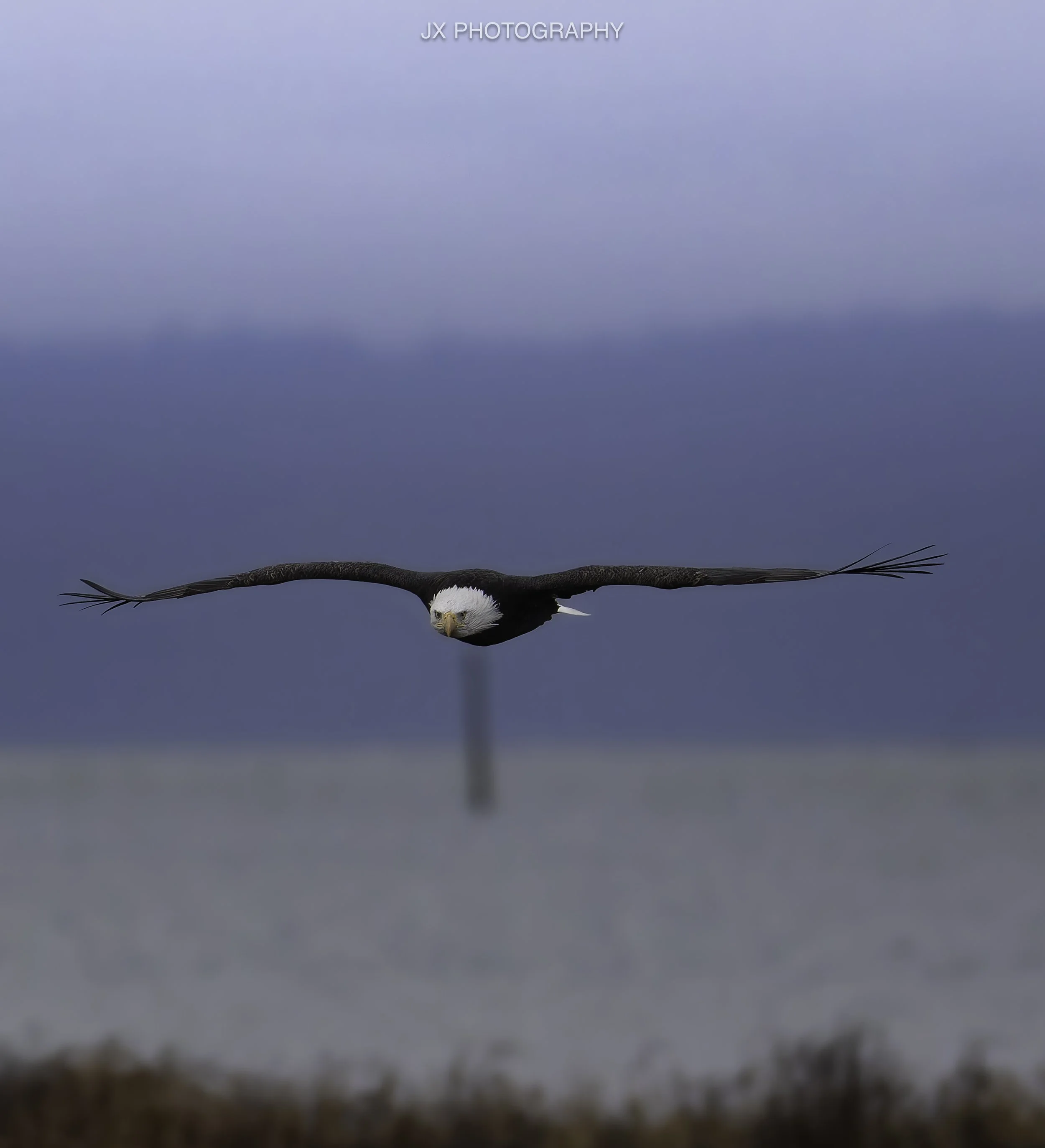 IMG_3413-DxO_DeepPRIME XD2s.jpg