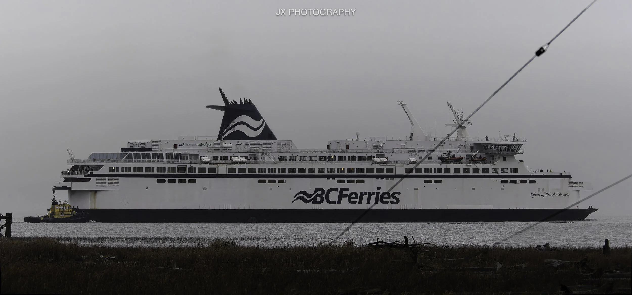 IMG_3538-DxO_DeepPRIME XD2s.jpg