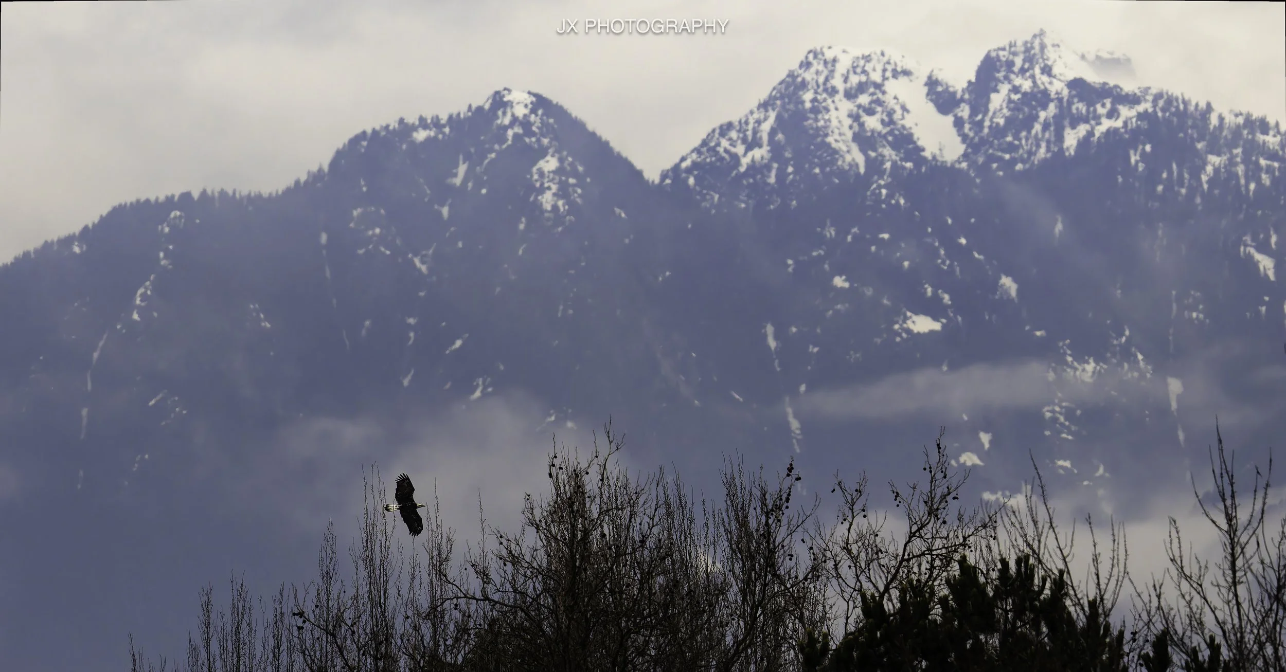 IMG_3551-DxO_DeepPRIME XD2s.jpg