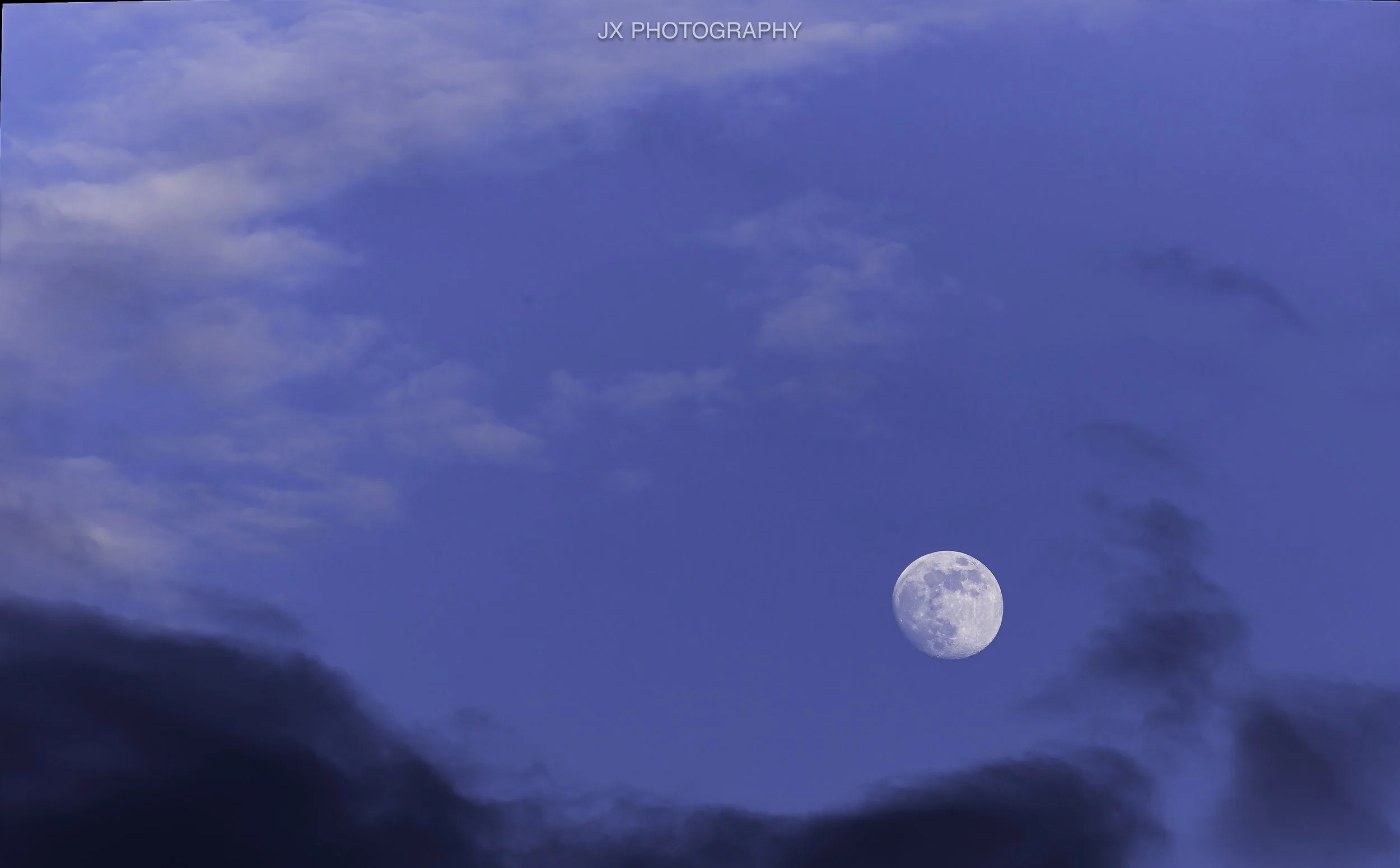 IMG_3527-DxO_DeepPRIME XD2s.jpg