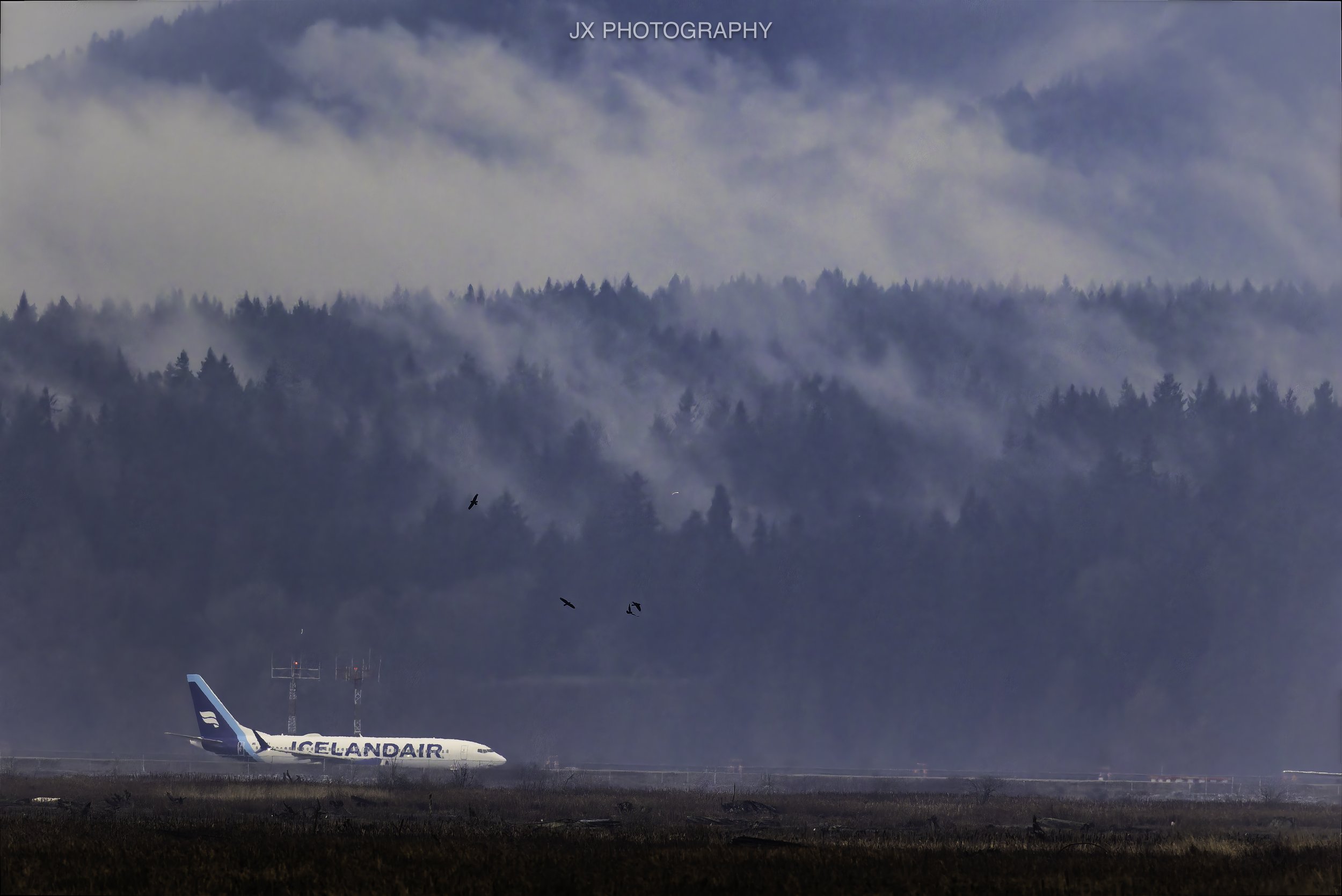 IMG_3554-DxO_DeepPRIME XD2s.jpg