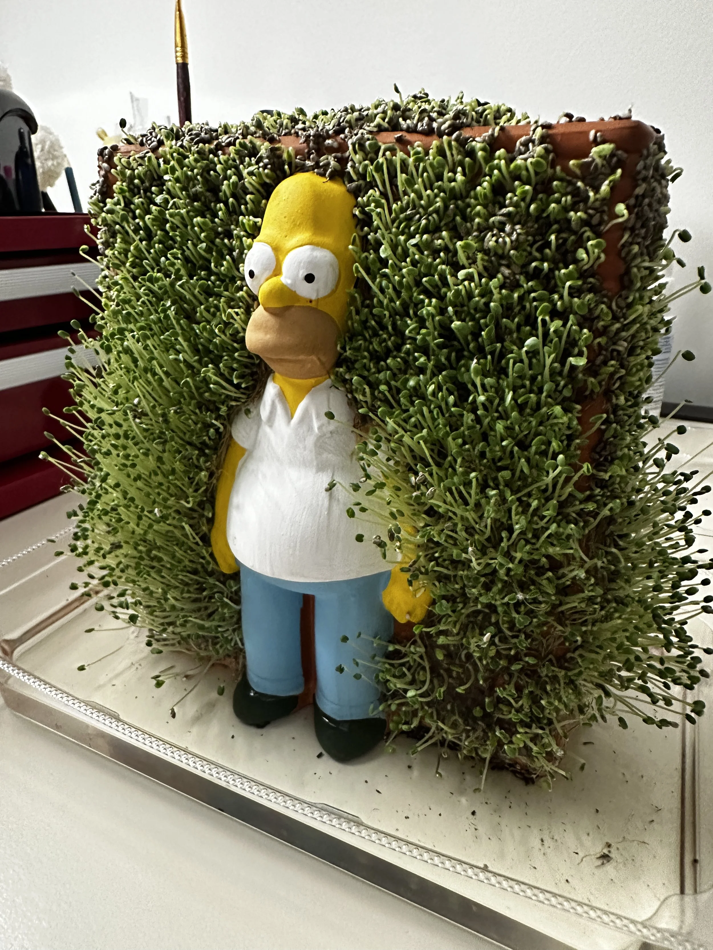 Not a thing was stirring