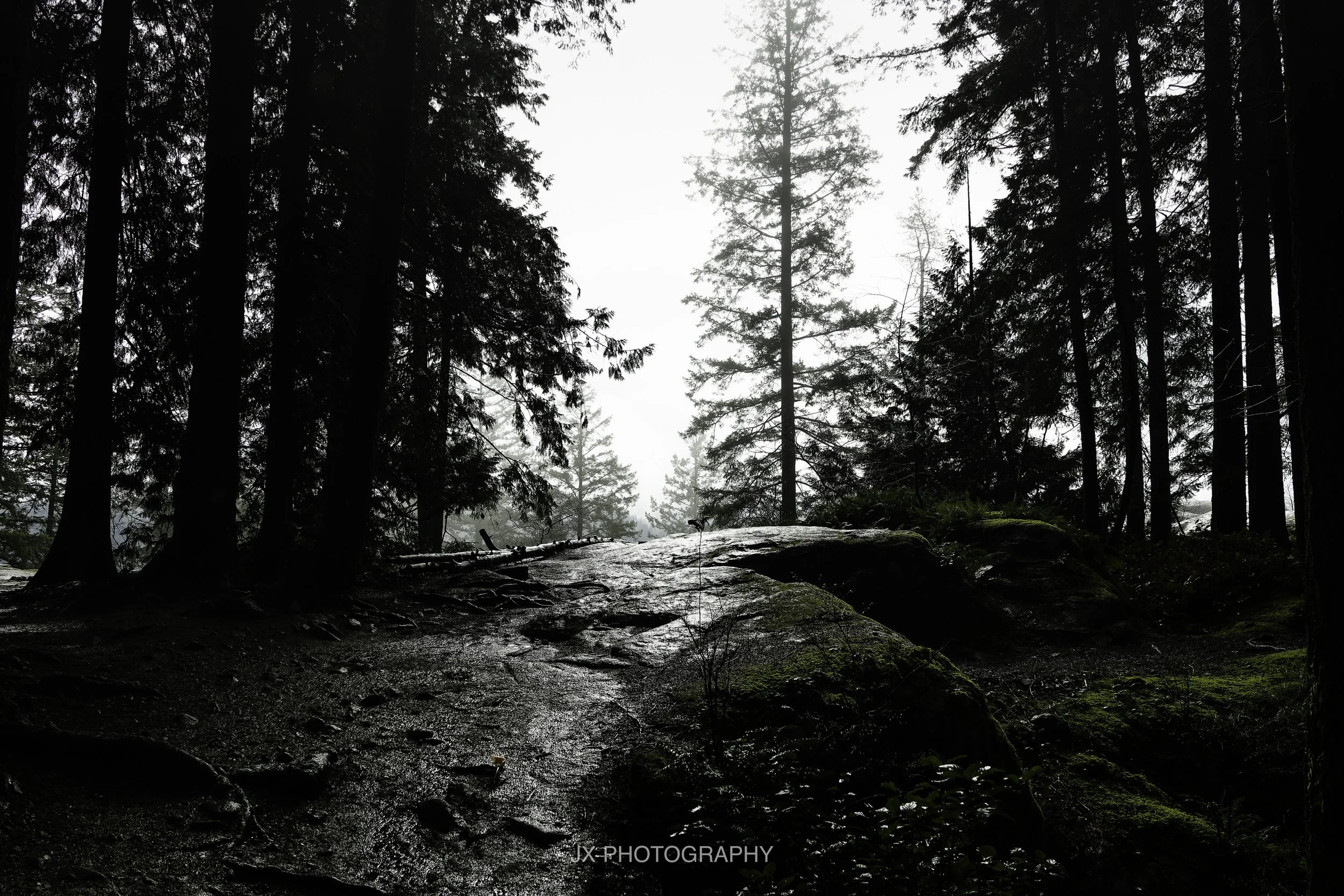 Hiking after not hiking for 30+ years