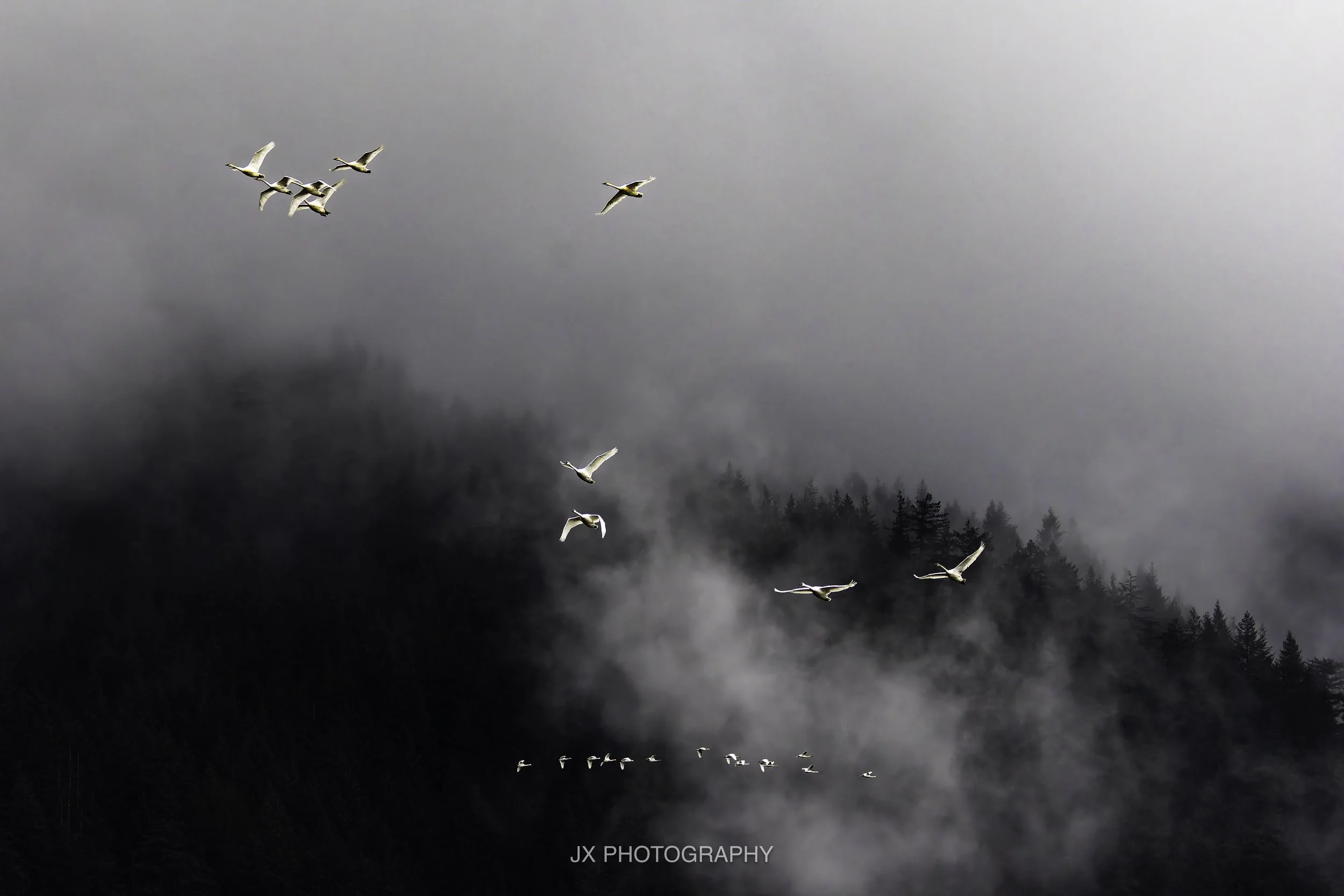 IMG_8763-DxO_DeepPRIME XD2s.jpg