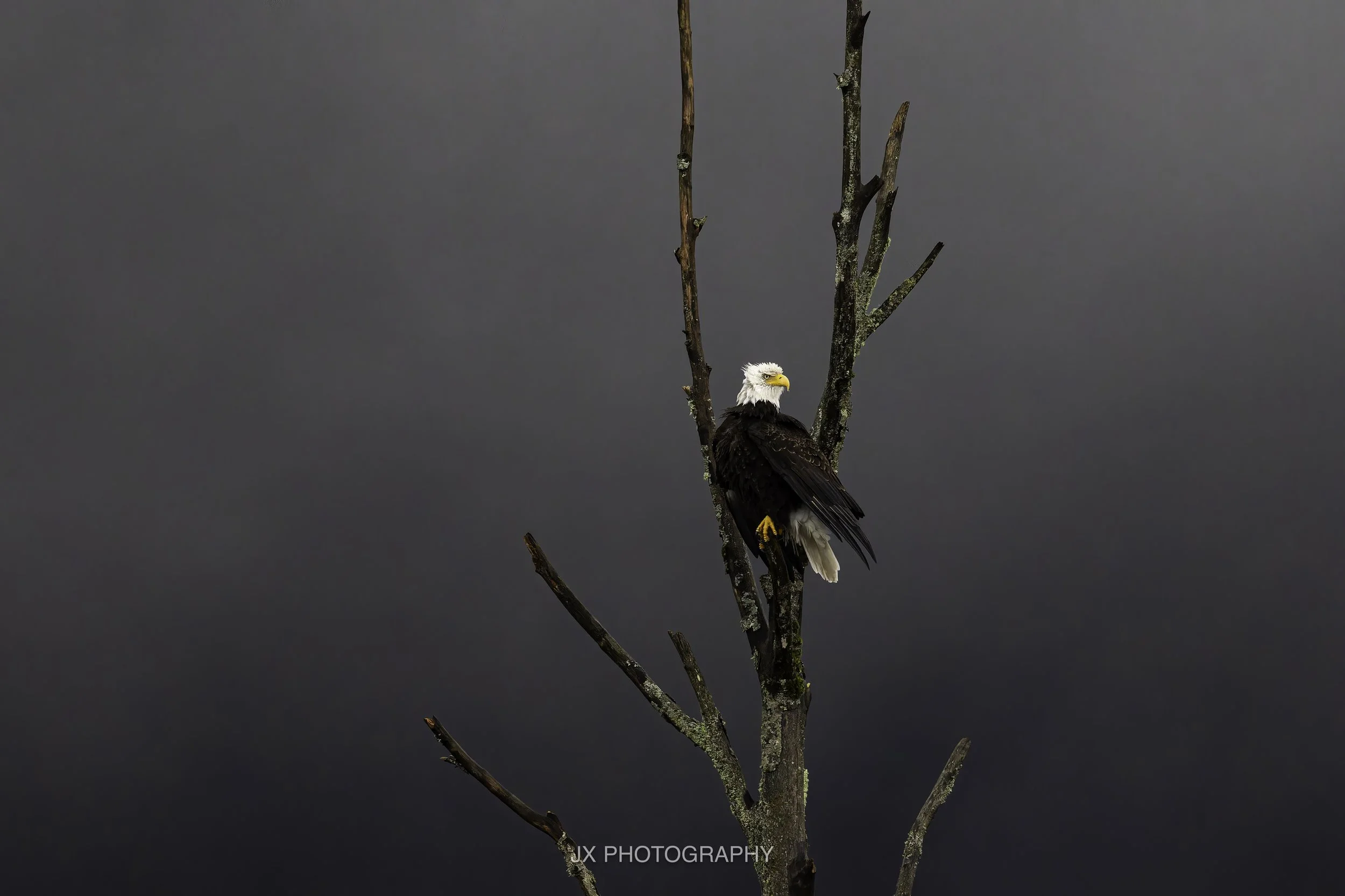 IMG_8749-DxO_DeepPRIME XD2s.jpg