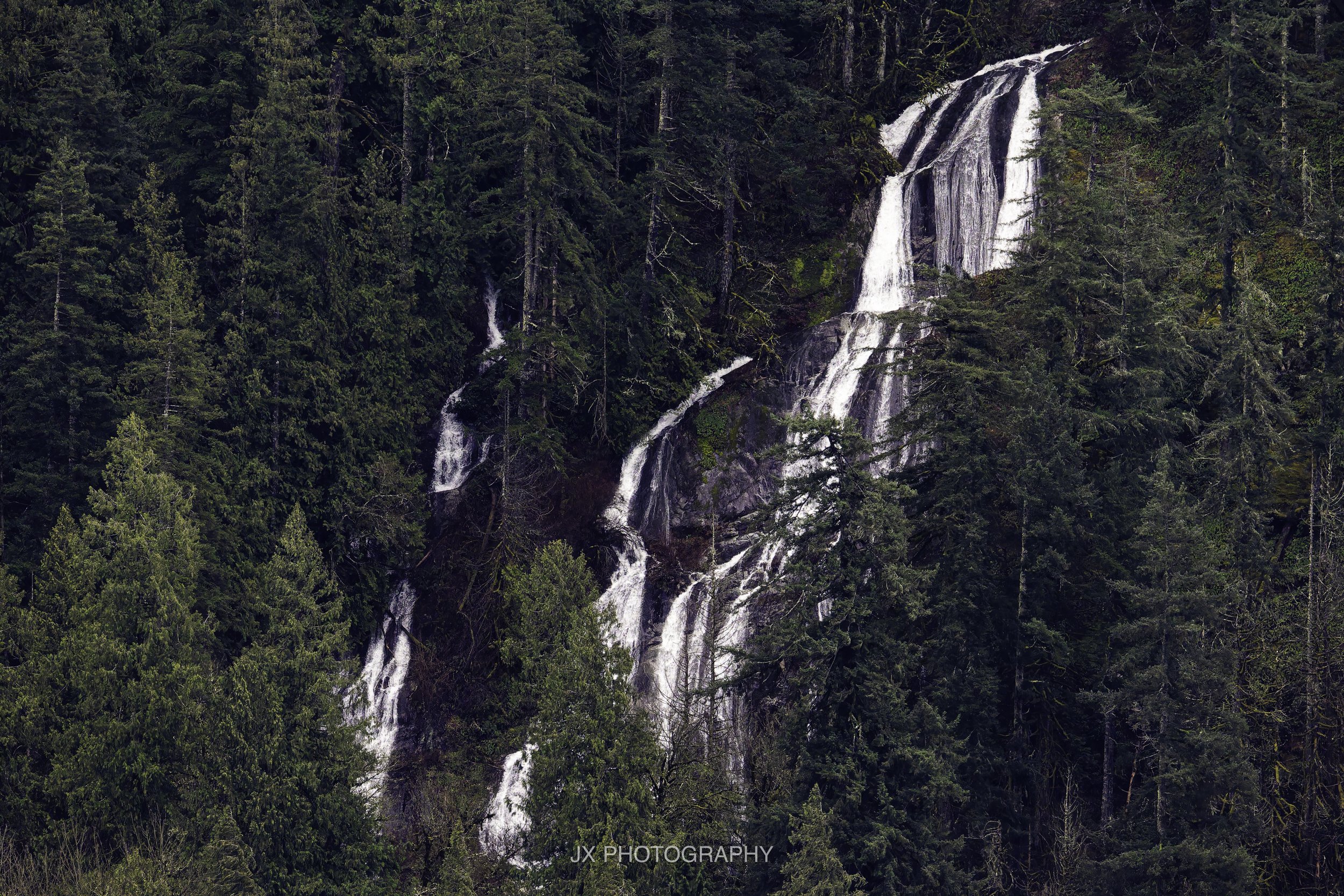 IMG_8758-DxO_DeepPRIME XD2s.jpeg