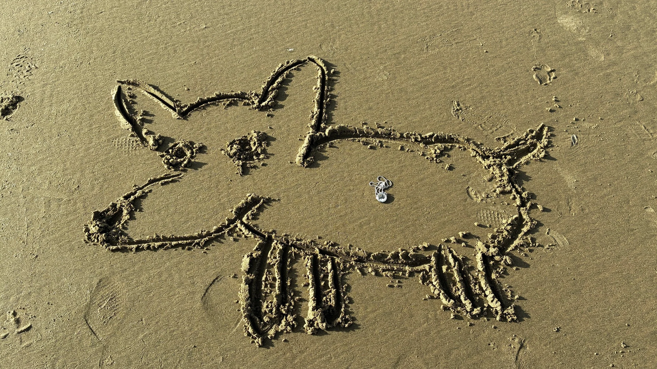 IMG_3174.JPG