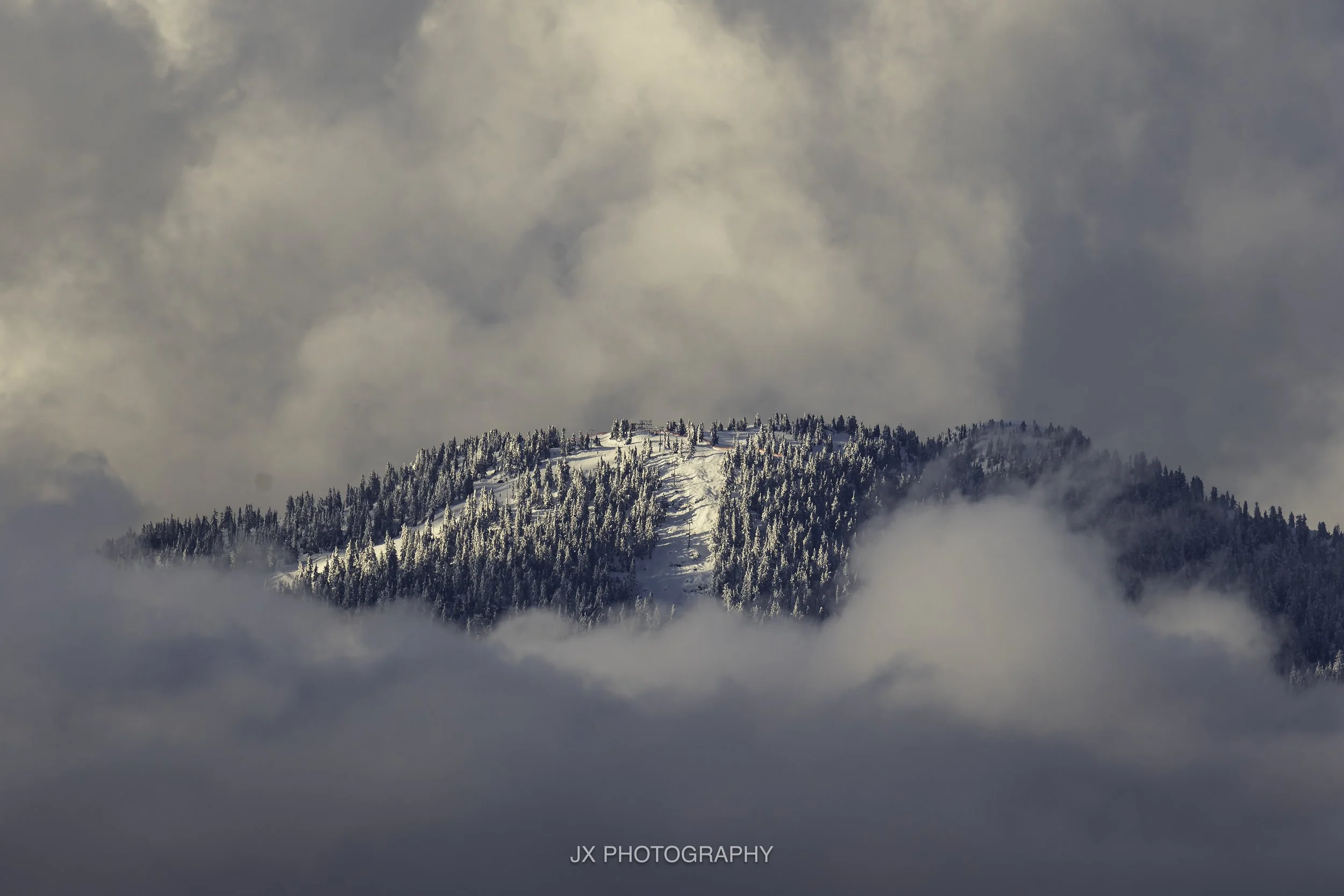 IMG_8336-DxO_DeepPRIME XD2s.jpg