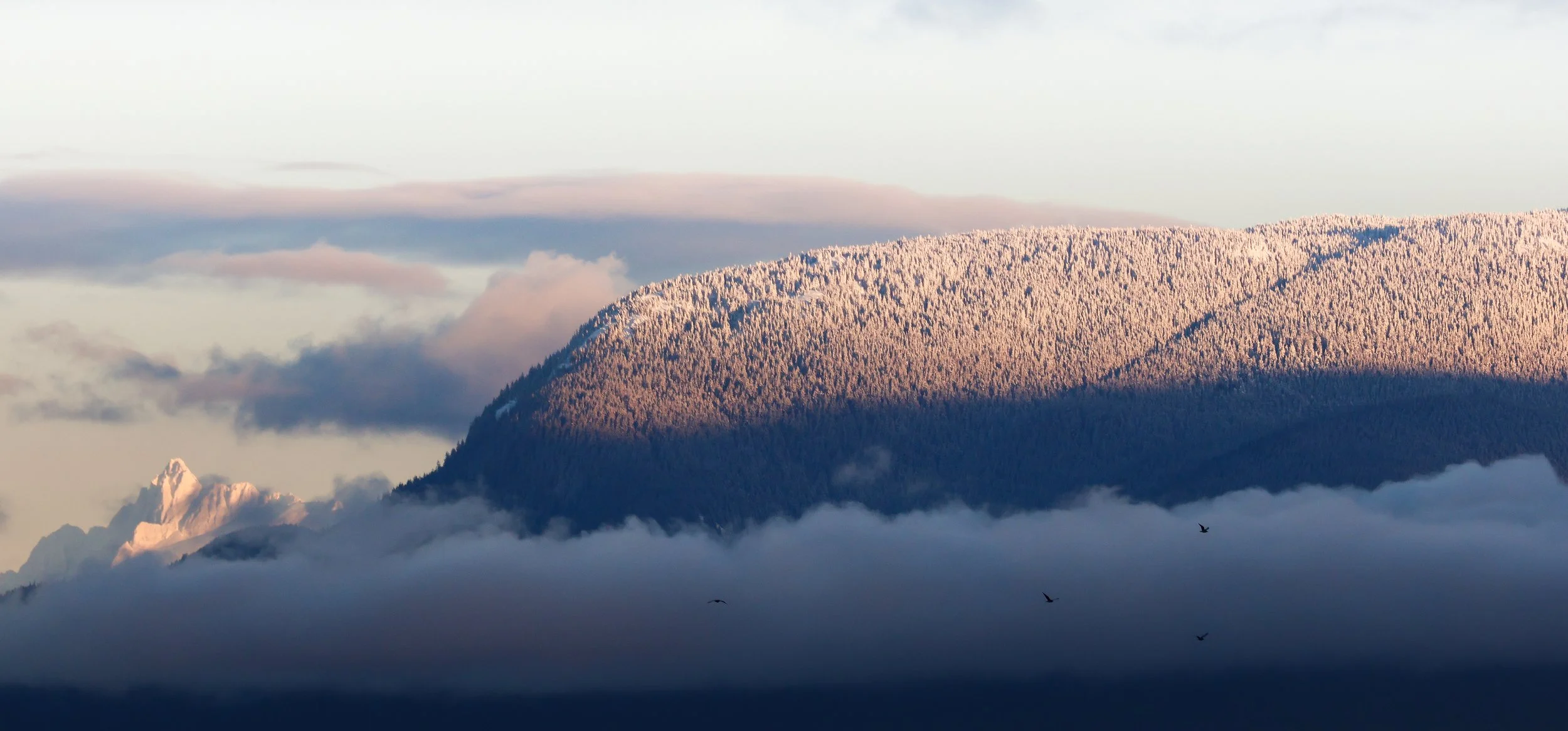 A mountain landscape with snow-covered trees on a hillside, clouds in the foreground, and a distant mountain peak to the left.