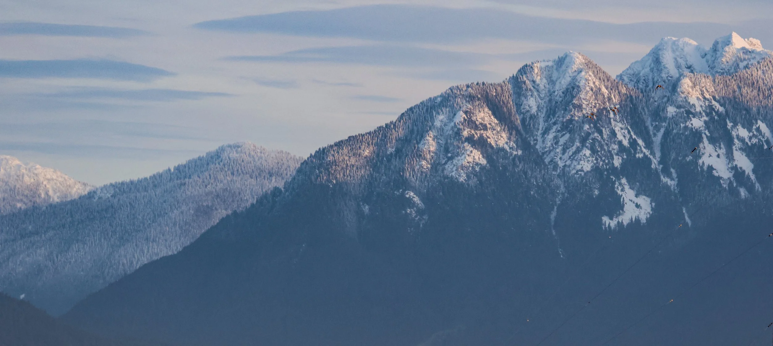 Snow-covered mountain range with wooded slopes and a cloudy sky.