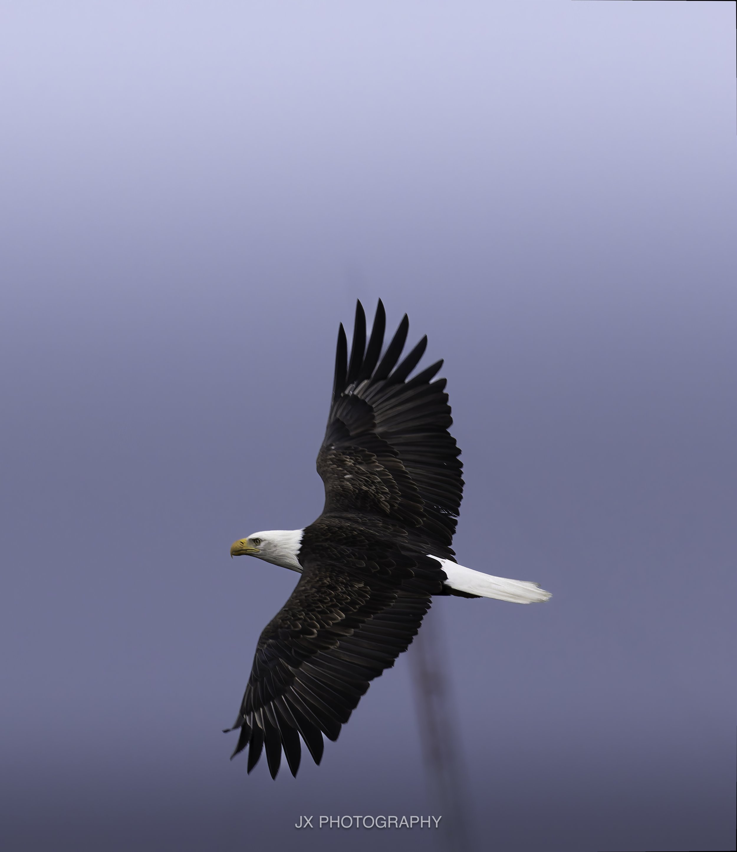 IMG_3456-DxO_DeepPRIME XD2s.jpg