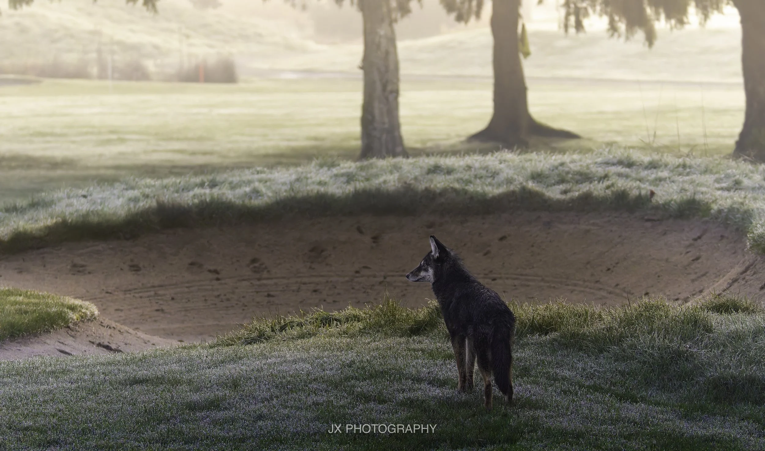 IMG_4622-DxO_DeepPRIME XD2s.jpg