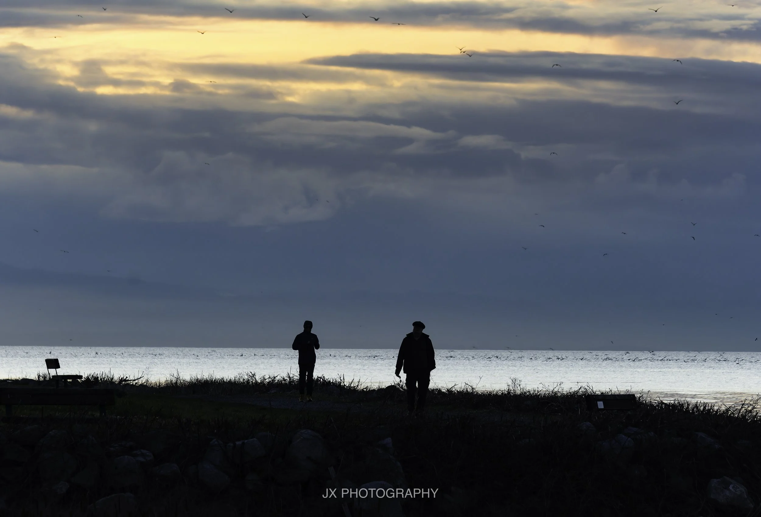 IMG_7977-DxO_DeepPRIME XD2s.jpg