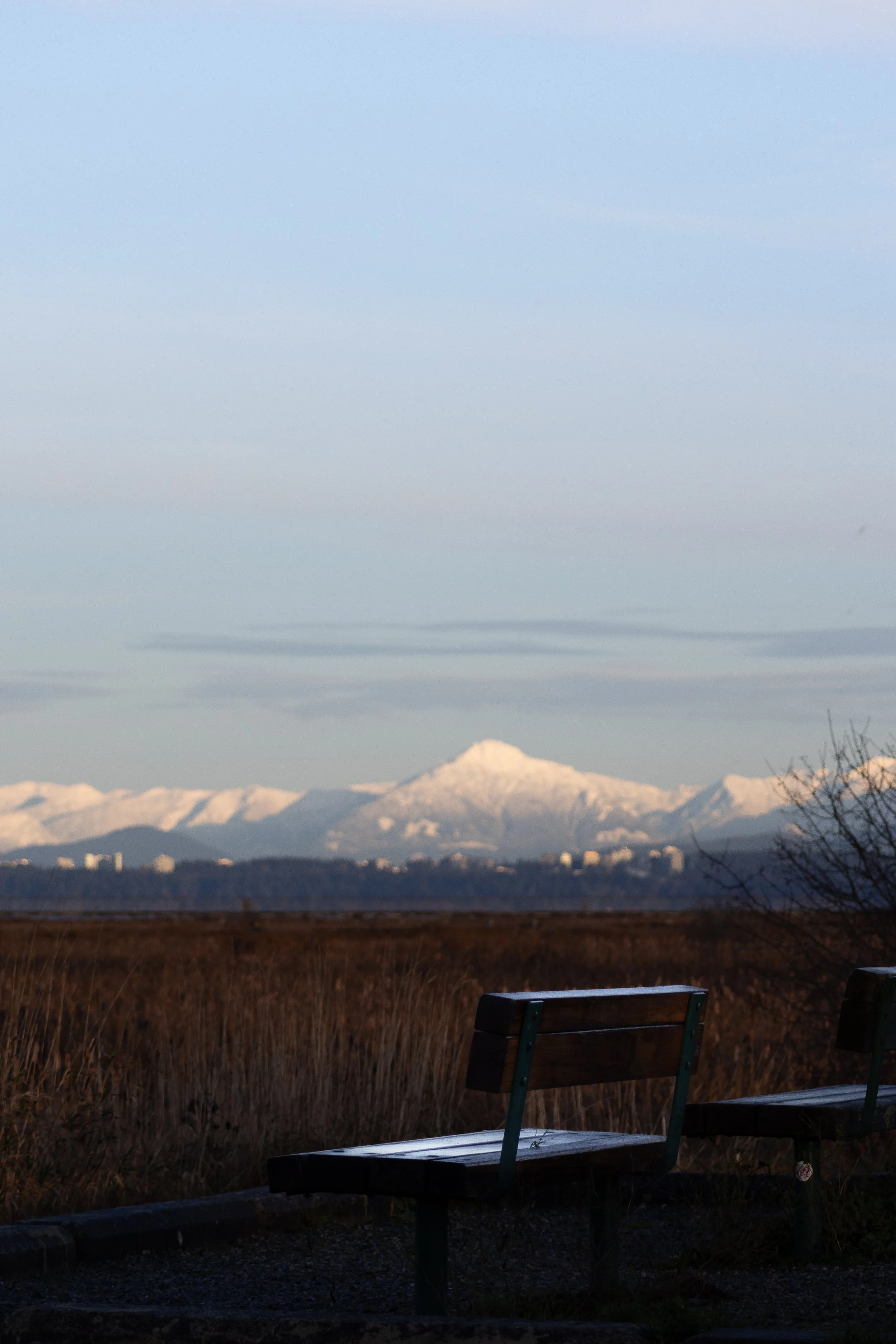 Snow-capped mountains visible in the distance with an expansive sky above, and a park bench in the foreground facing the mountains.