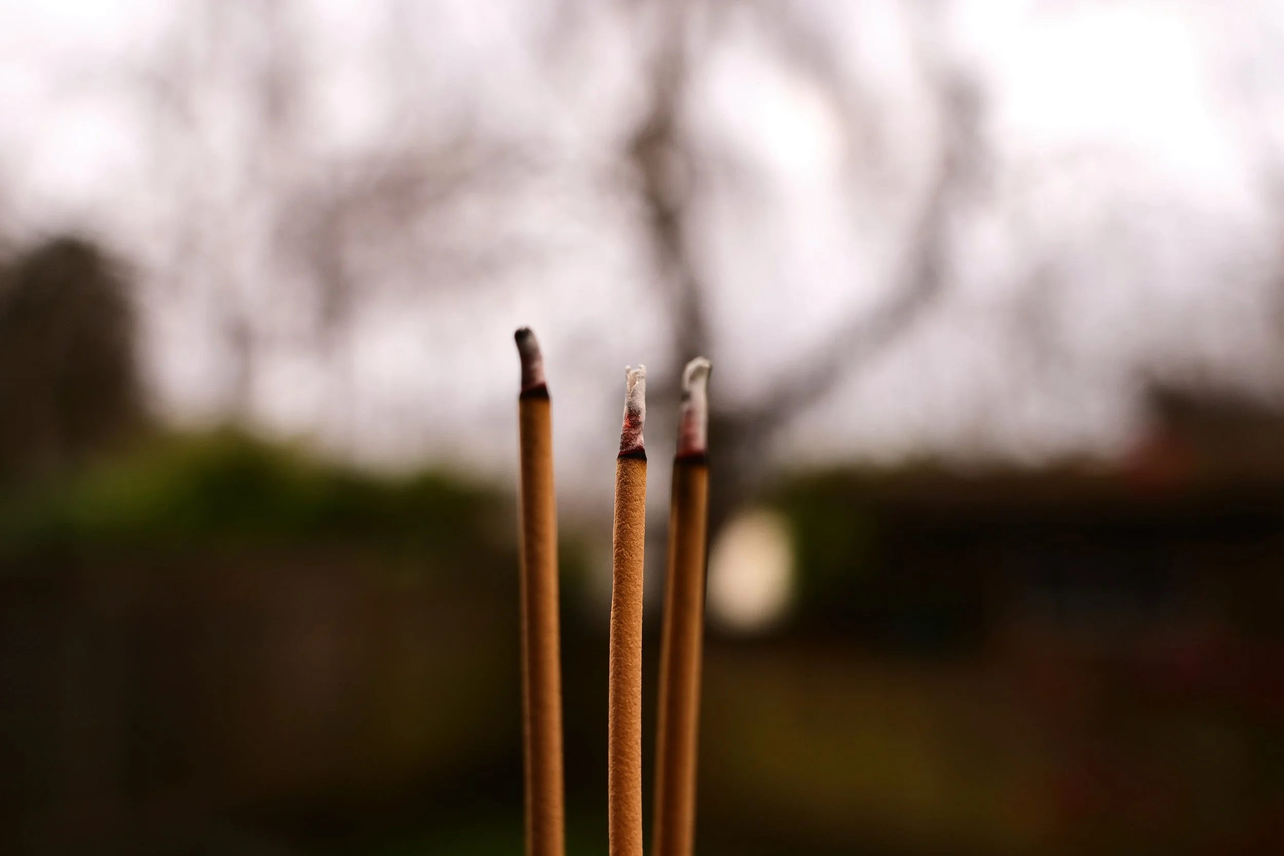 Life moves on slowly