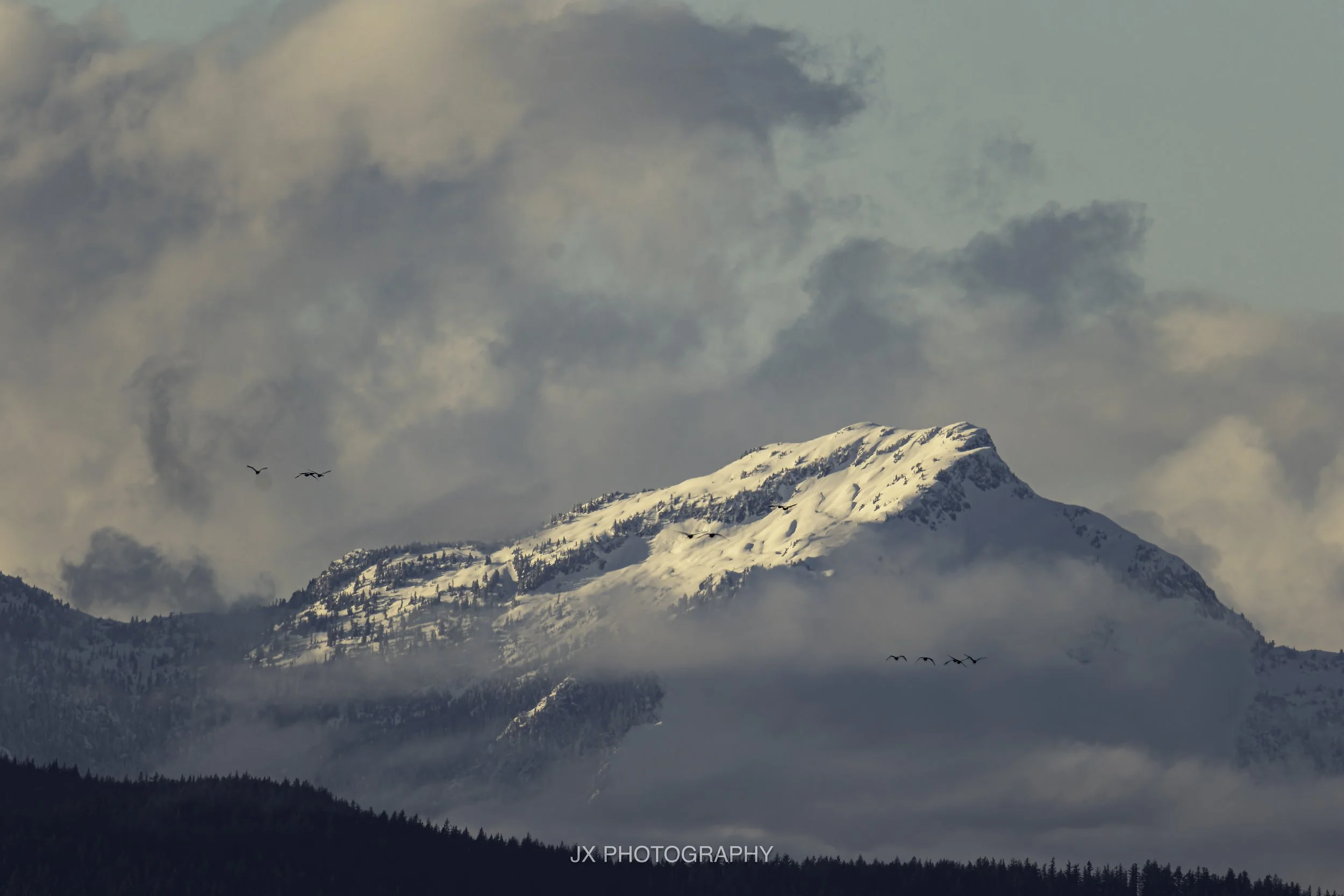 IMG_8345-DxO_DeepPRIME XD2s.jpg