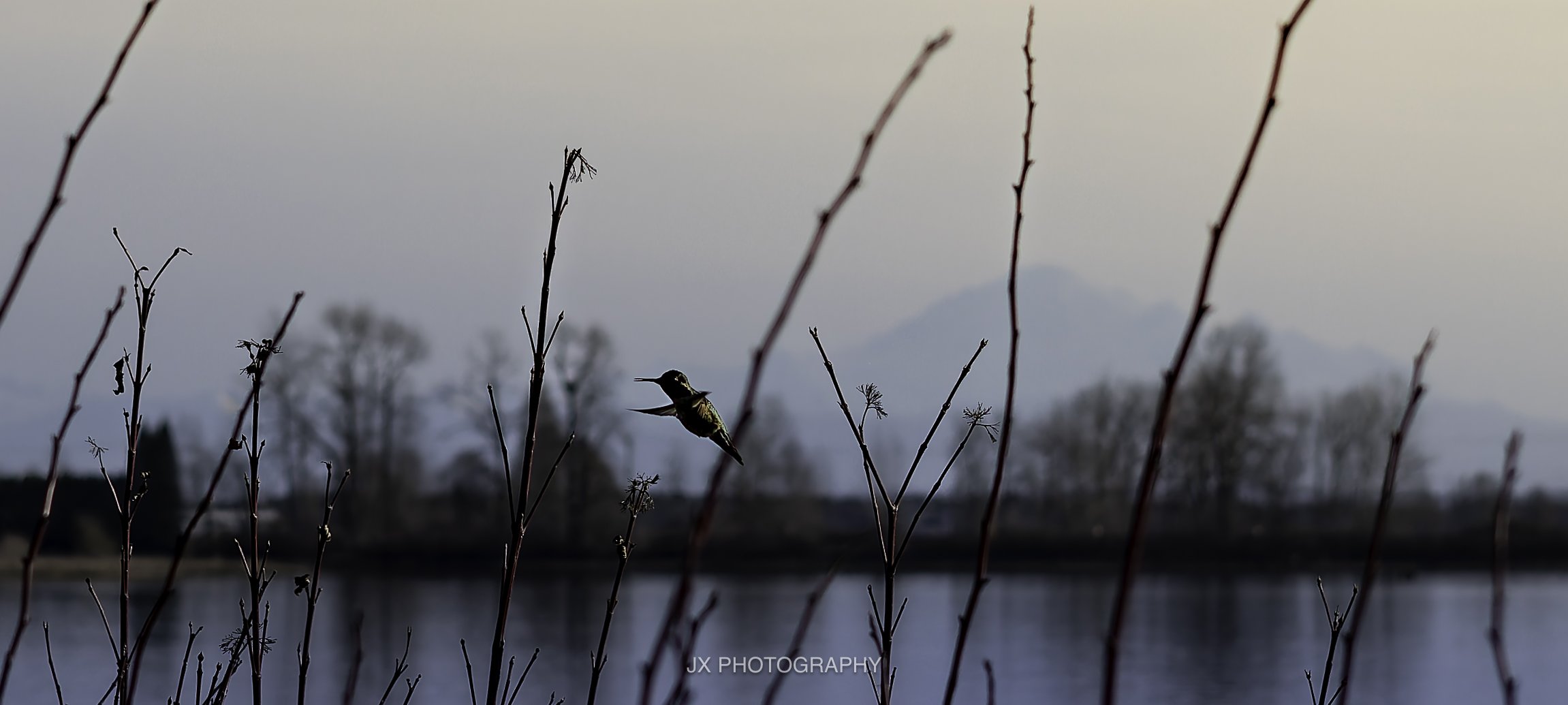 IMG_5691-DxO_DeepPRIME XD2s.jpg