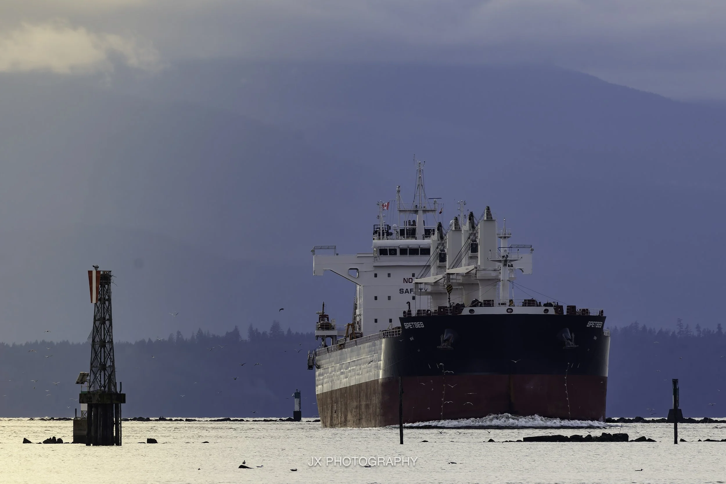 IMG_6557-DxO_DeepPRIME XD2s.jpg