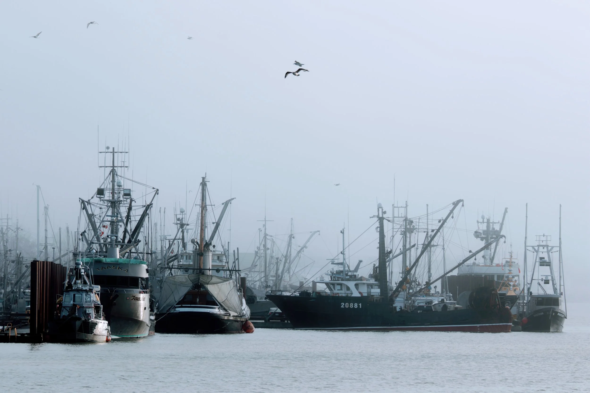 IMG_1360-DxO_DeepPRIME XD2s.jpg