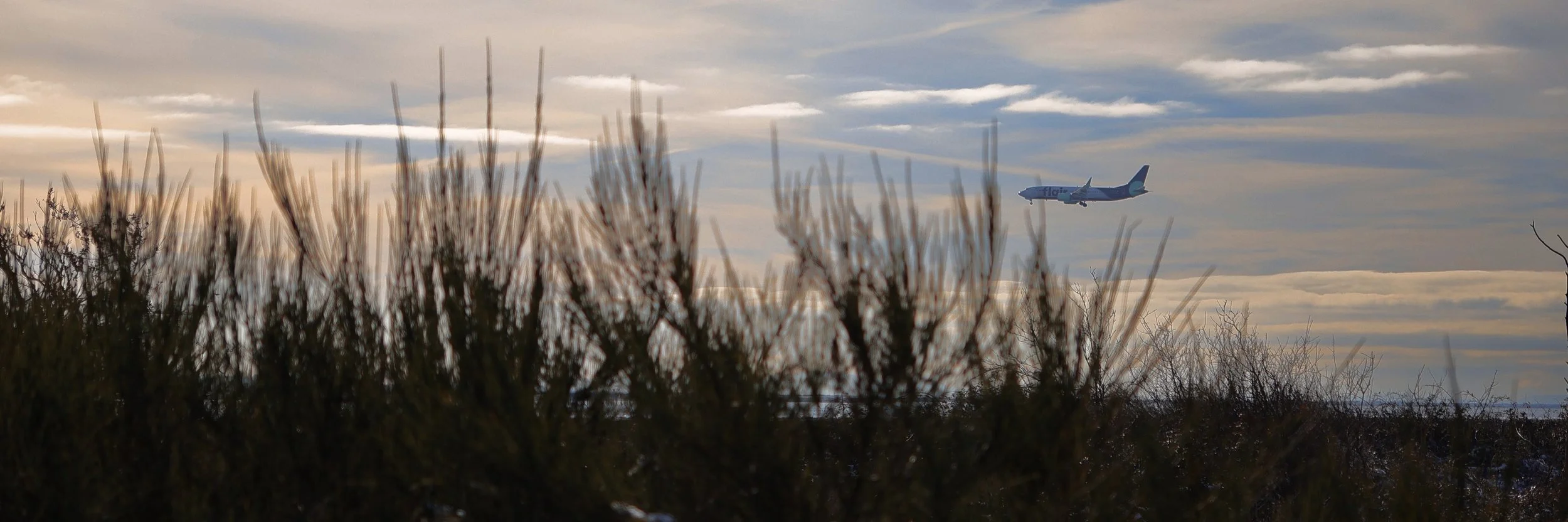 IMG_1823 Copy-EDIT.jpg