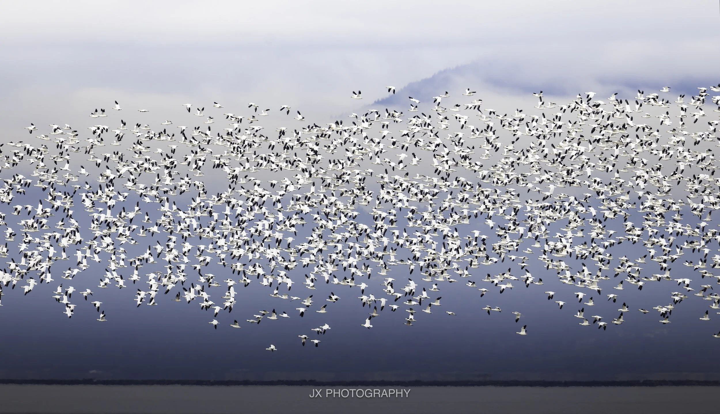 IMG_0886-DxO_DeepPRIME XD2s.jpg