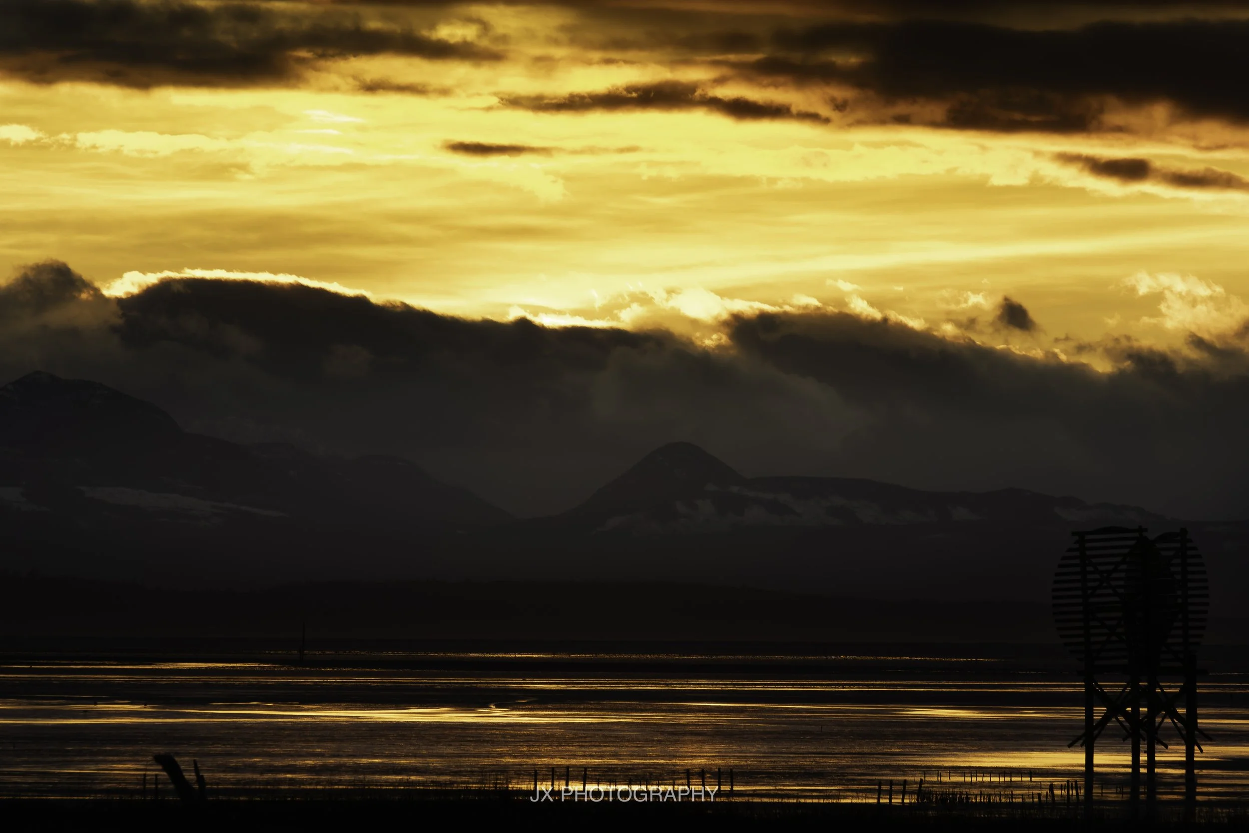 IMG_7830-DxO_DeepPRIME XD2s.jpg