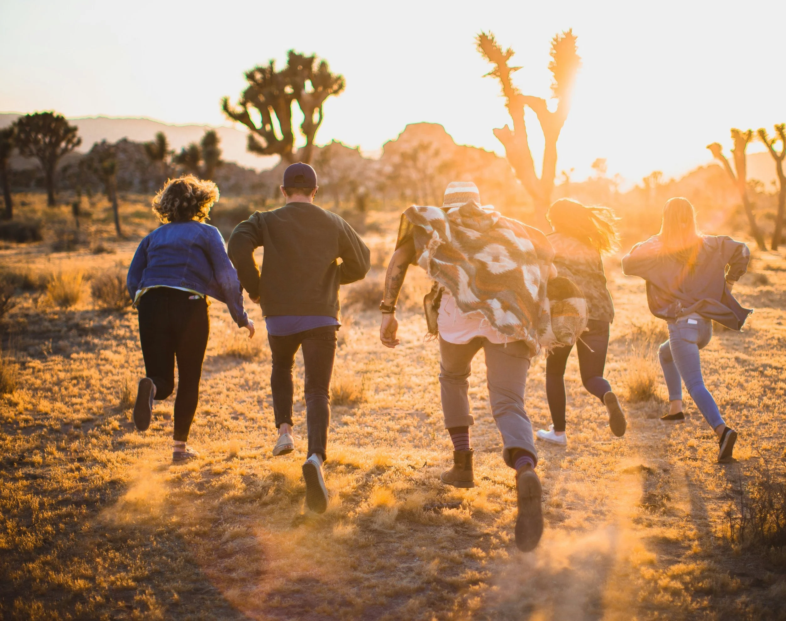 A group of five people running in a desert landscape at sunset, with Joshua trees and distant mountains. The sun glows brightly behind the trees, casting a warm golden light.