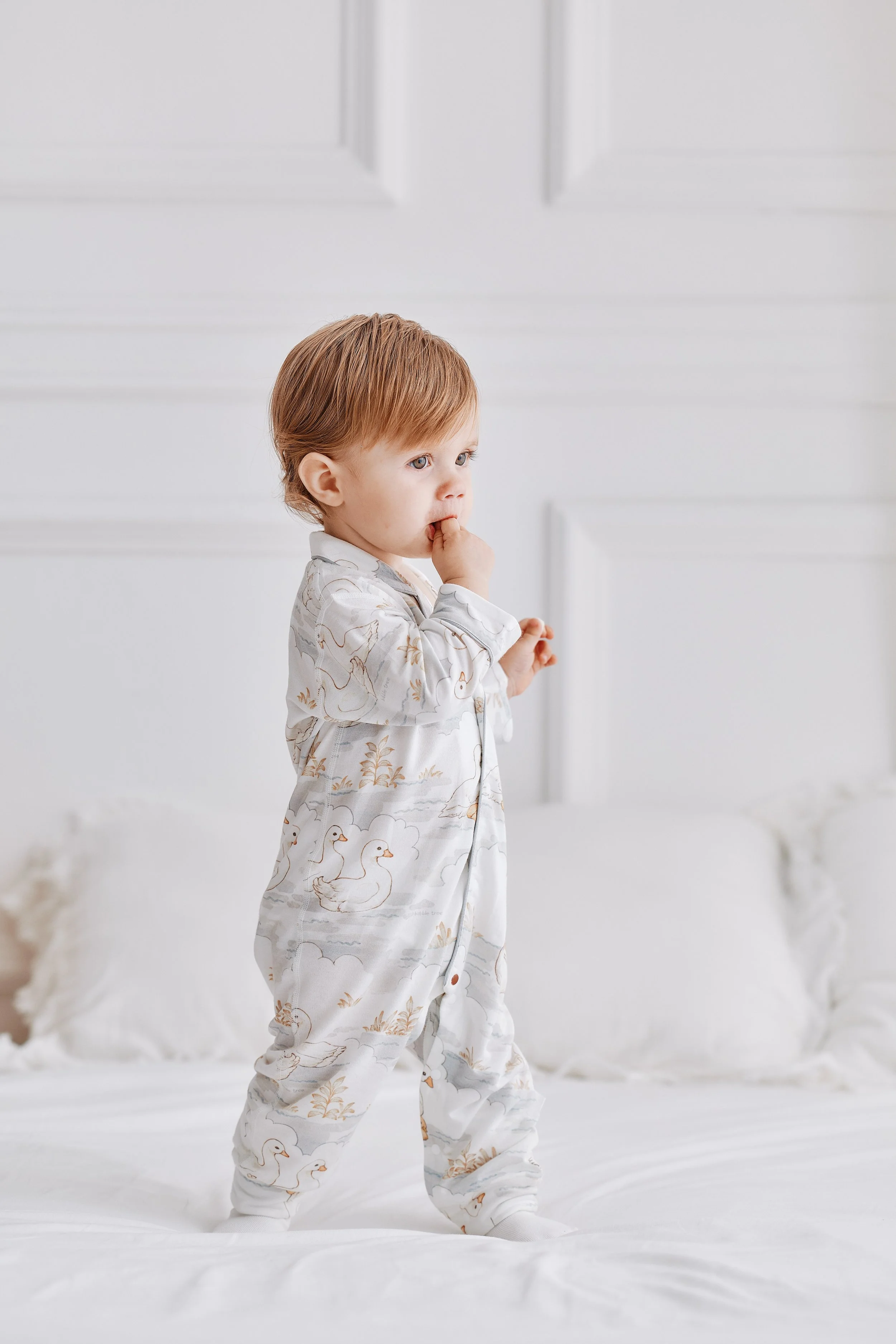 IMG_1209065605.jpg (Copy)