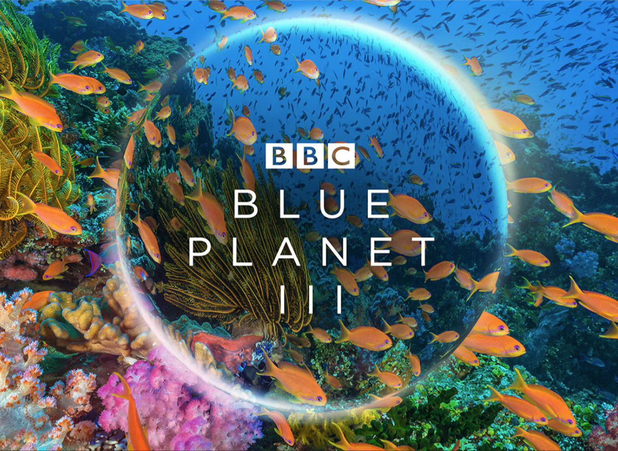 Underwater scene with colorful coral and schools of orange fish, with the BBC Blue Planet III logo overlaid.