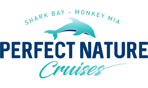 Logo for Shark Bay-Monkey Mia Perfect Nature Cruises with a dolphin jumping over stylized waves.