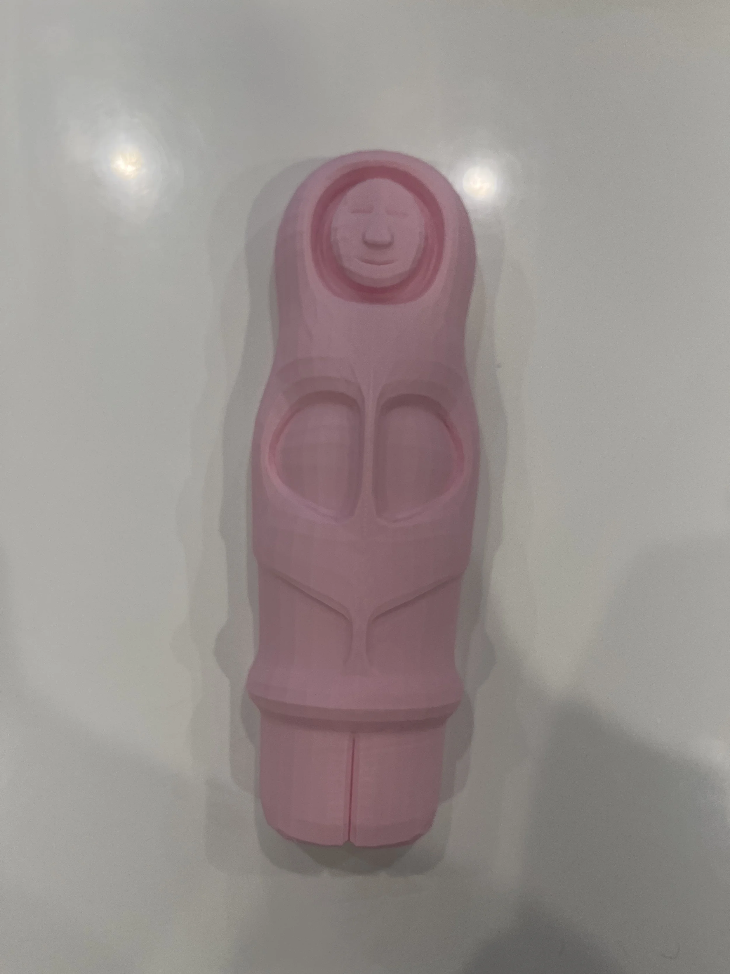 Kiwi Explorer Lollie Wall Art