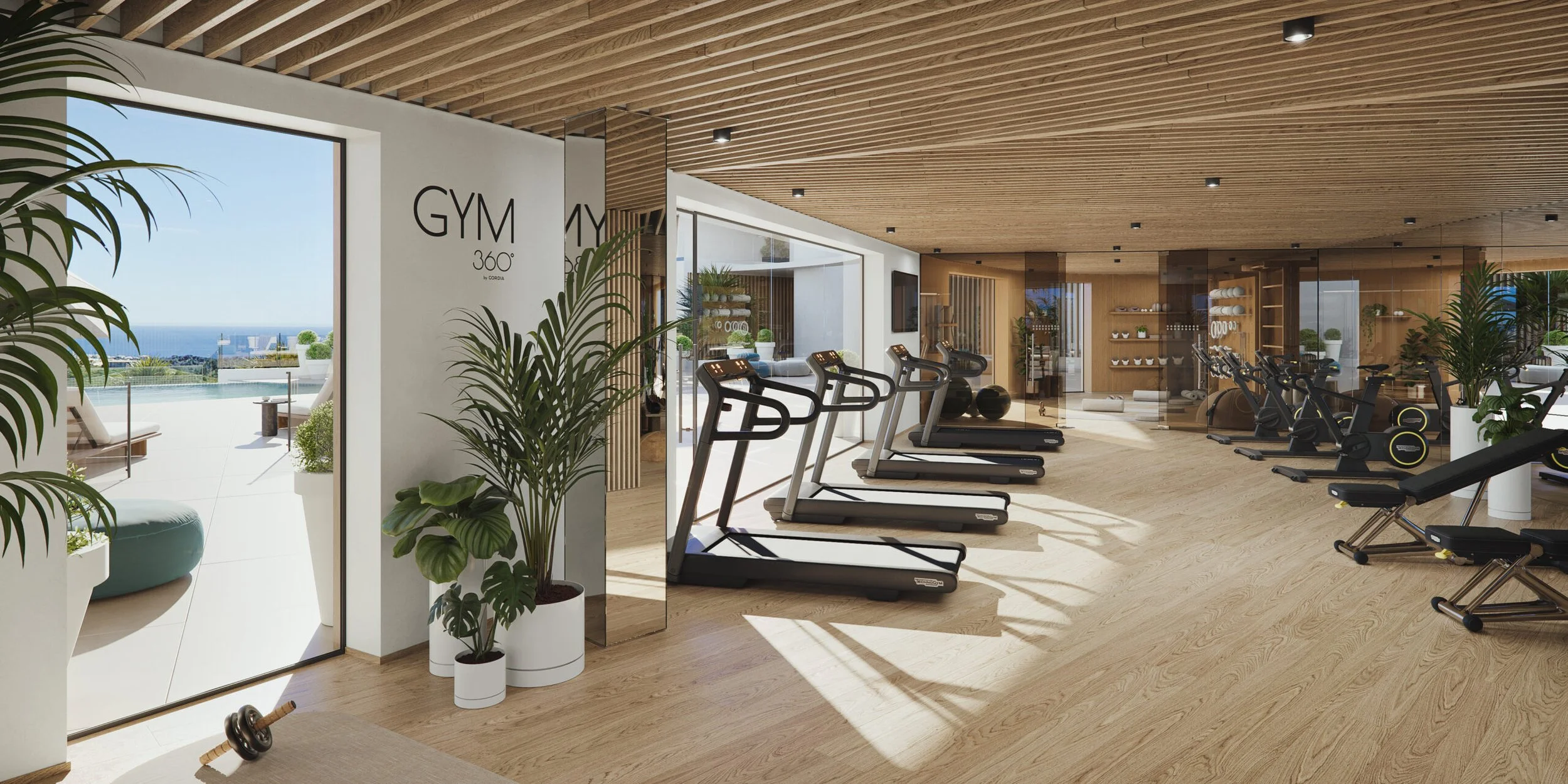 GIMNASIO-scaled-1.jpg