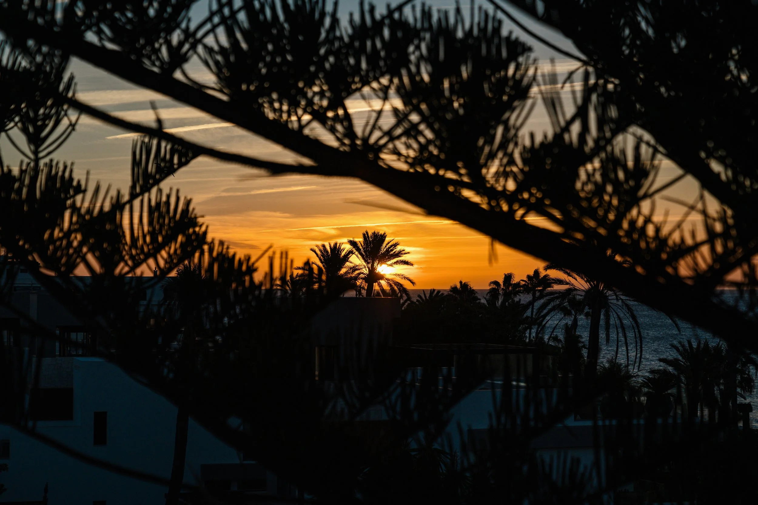 Penthouse Horizon12.jpg