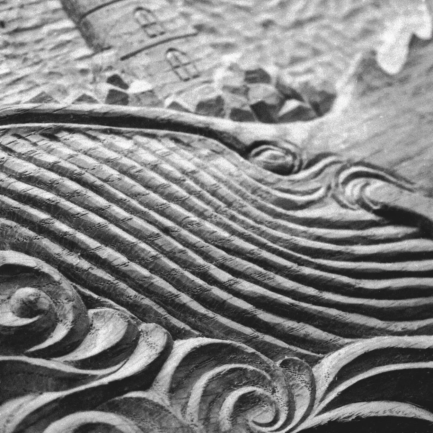 Light the whale home...
#sarahprotheroughcarver #thelittlecarvinghut #carversofcornwall #carversofoinstagram #marineconservationsociety #seashepherd #saveourseas #carvedart #carverartist #surfersagainstsewage