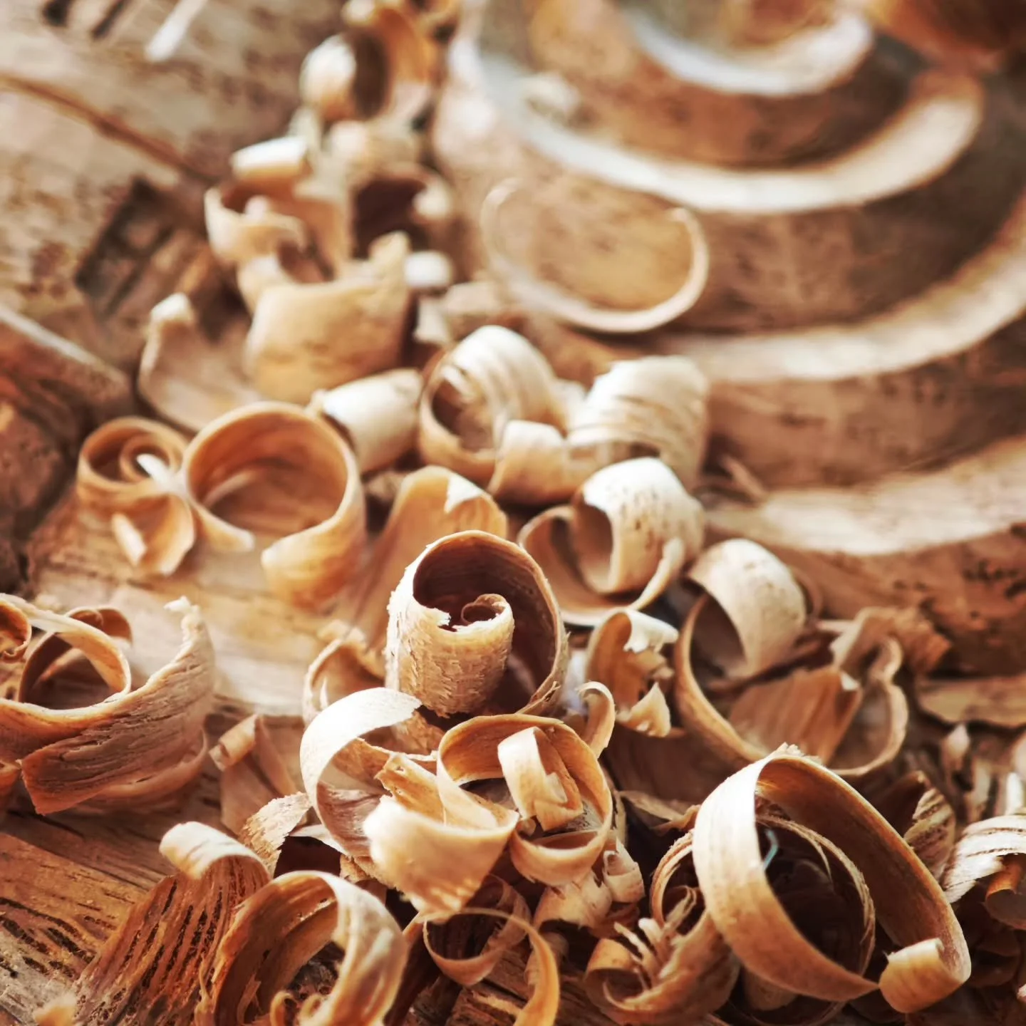 Curls from curls 
#handcarved #thelittlethings #woodenwaves #cornishartistsandmakers