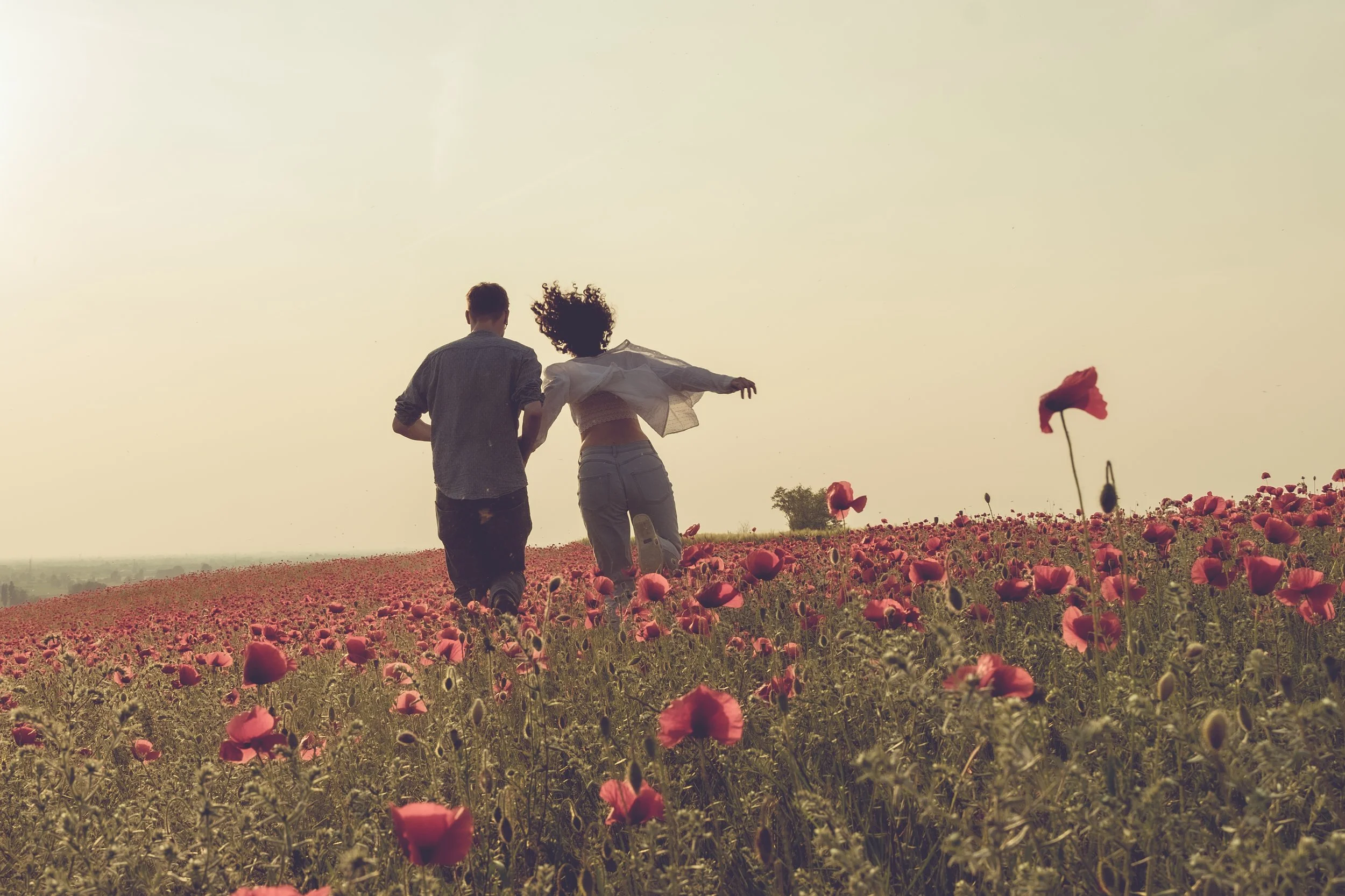 due persone che camminano nel campo di papaveri al tramonto.