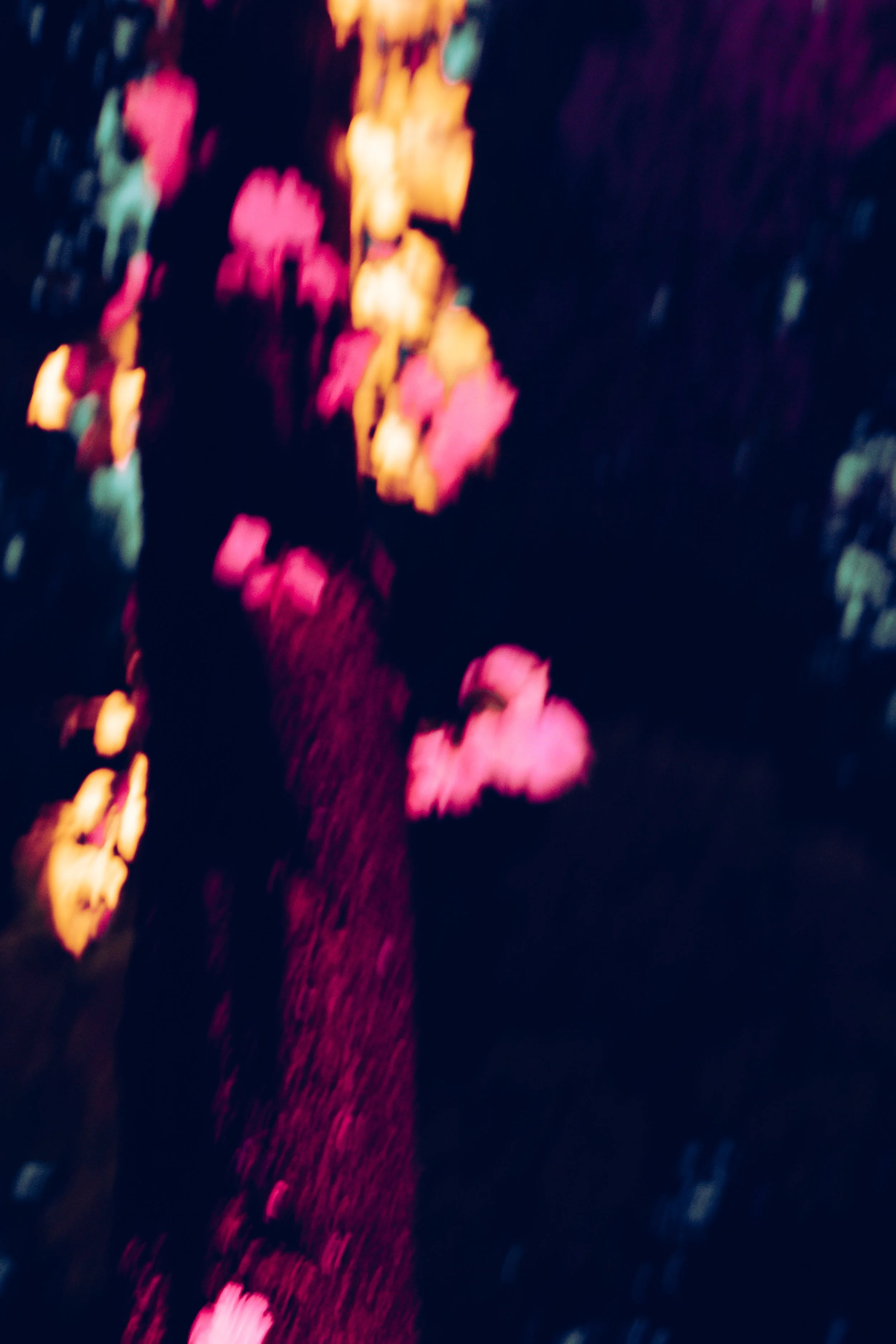 Immagine astratta di fiori colorati blu, rosa, arancione e verde su sfondo scuro.