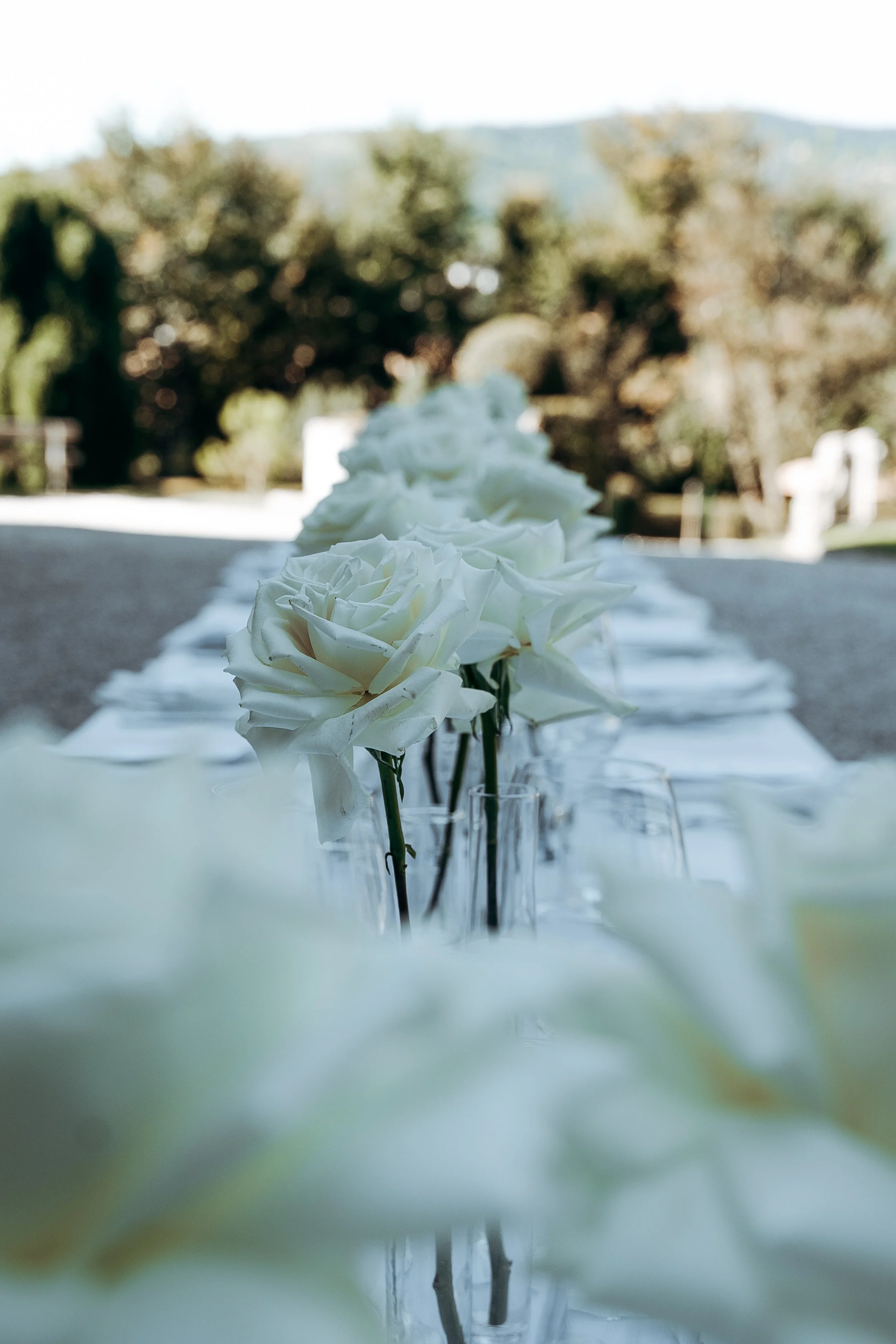 Una tavola apparecchiata con centrotavola di rose bianche in vasi di vetro, ambientata all'aperto con alberi e colline sullo sfondo.