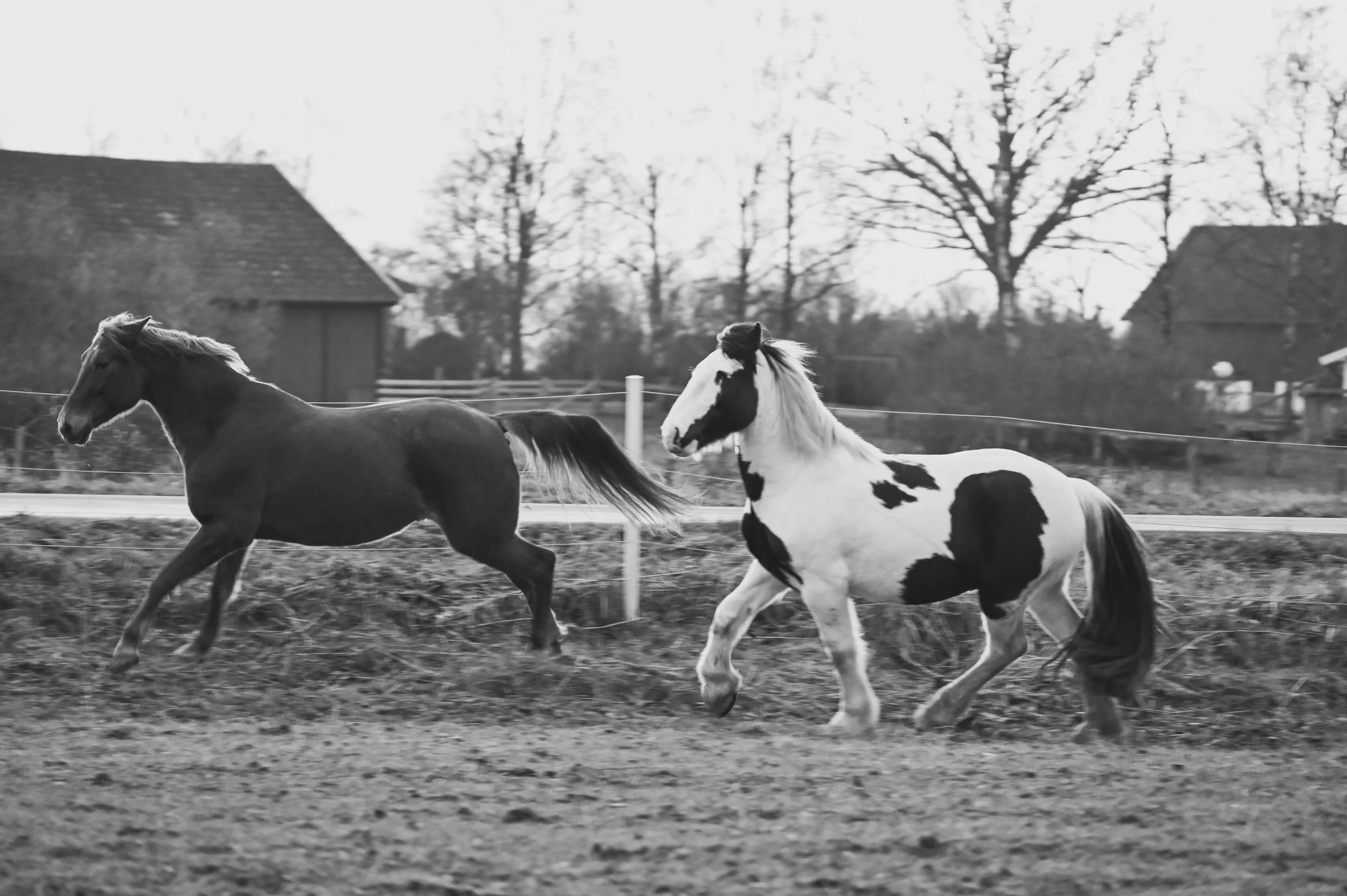 DSC_0030.jpg