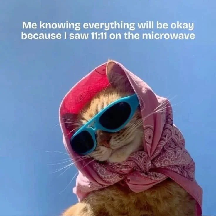 what’s with nebula pond?