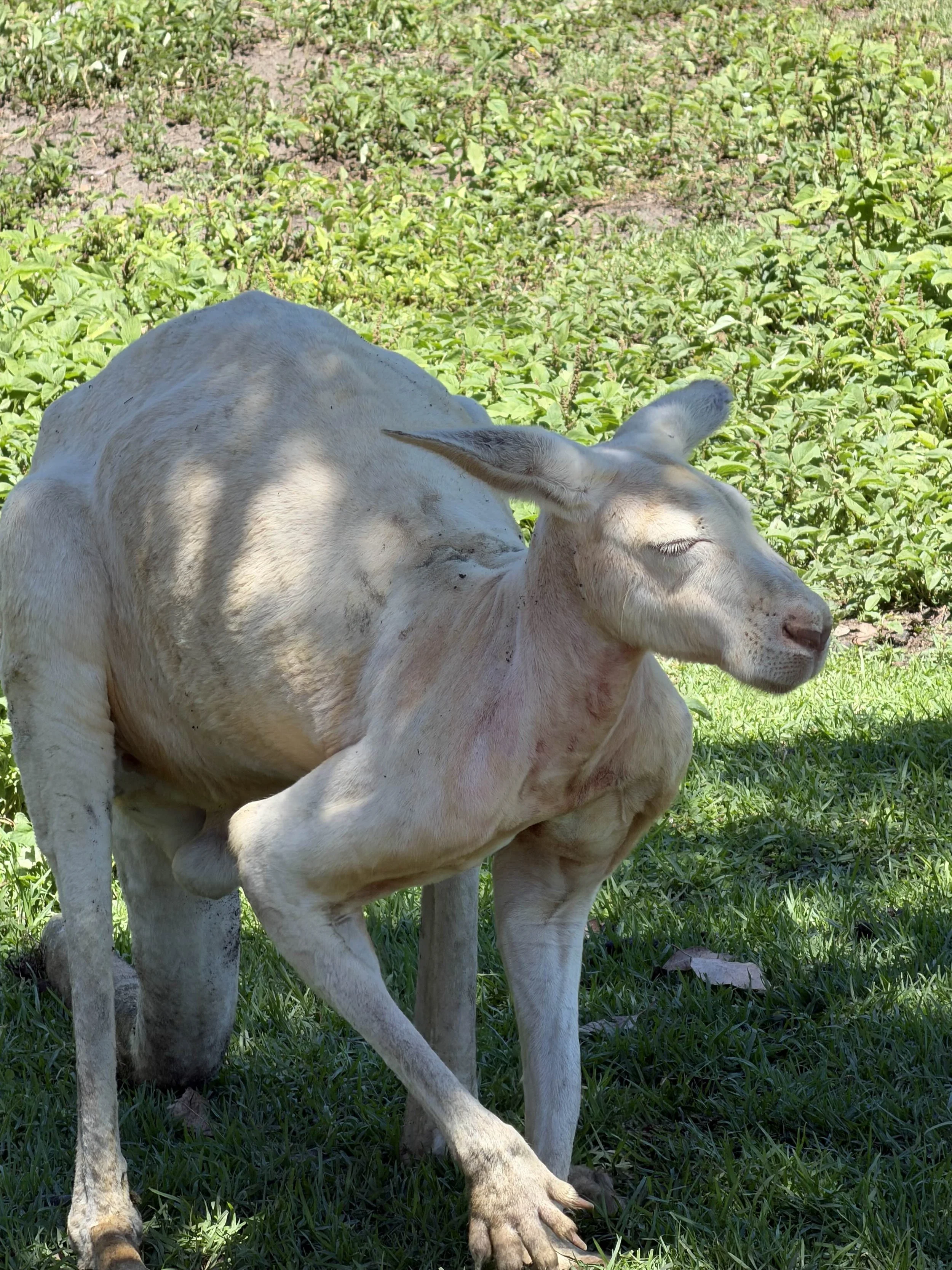 A middle-aged man with gray beard sitting on a bench, wearing a brown polo shirt and white pants, looking contemplative in a minimalistic room.
