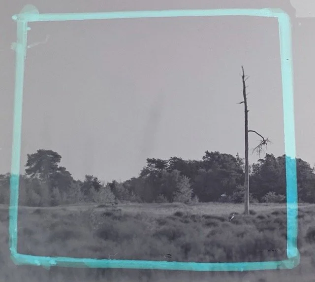 Naamloos-5 2 Medium.jpeg