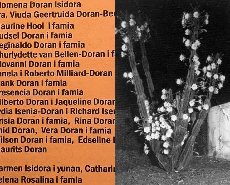 boekje moleskin14.jpg