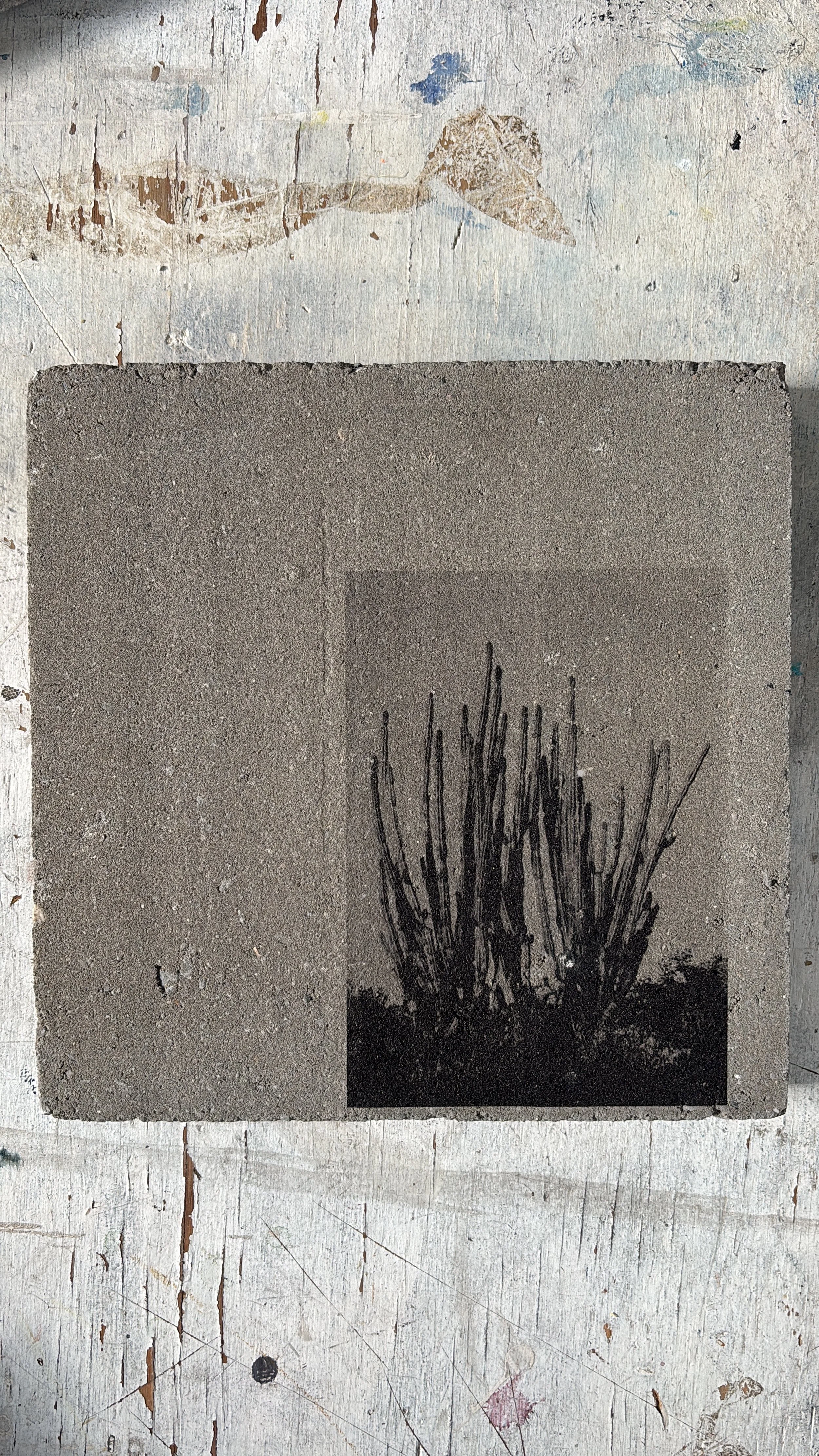 7BEFB718-59DC-4543-AB35-9514221179C7 2 3.jpeg