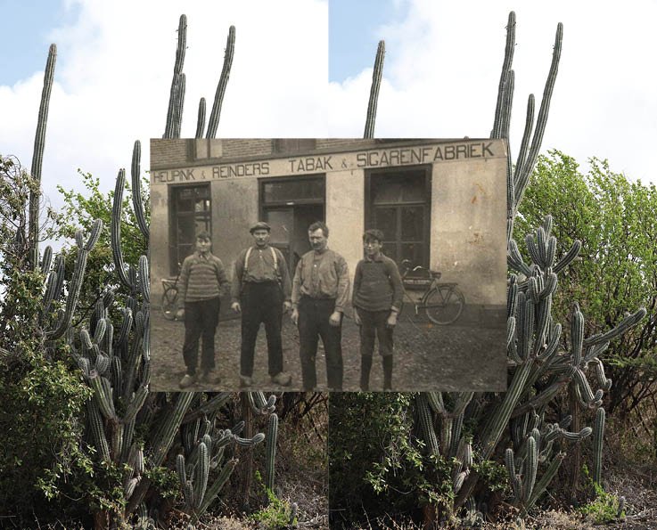 Boek Halfbloed10.jpg